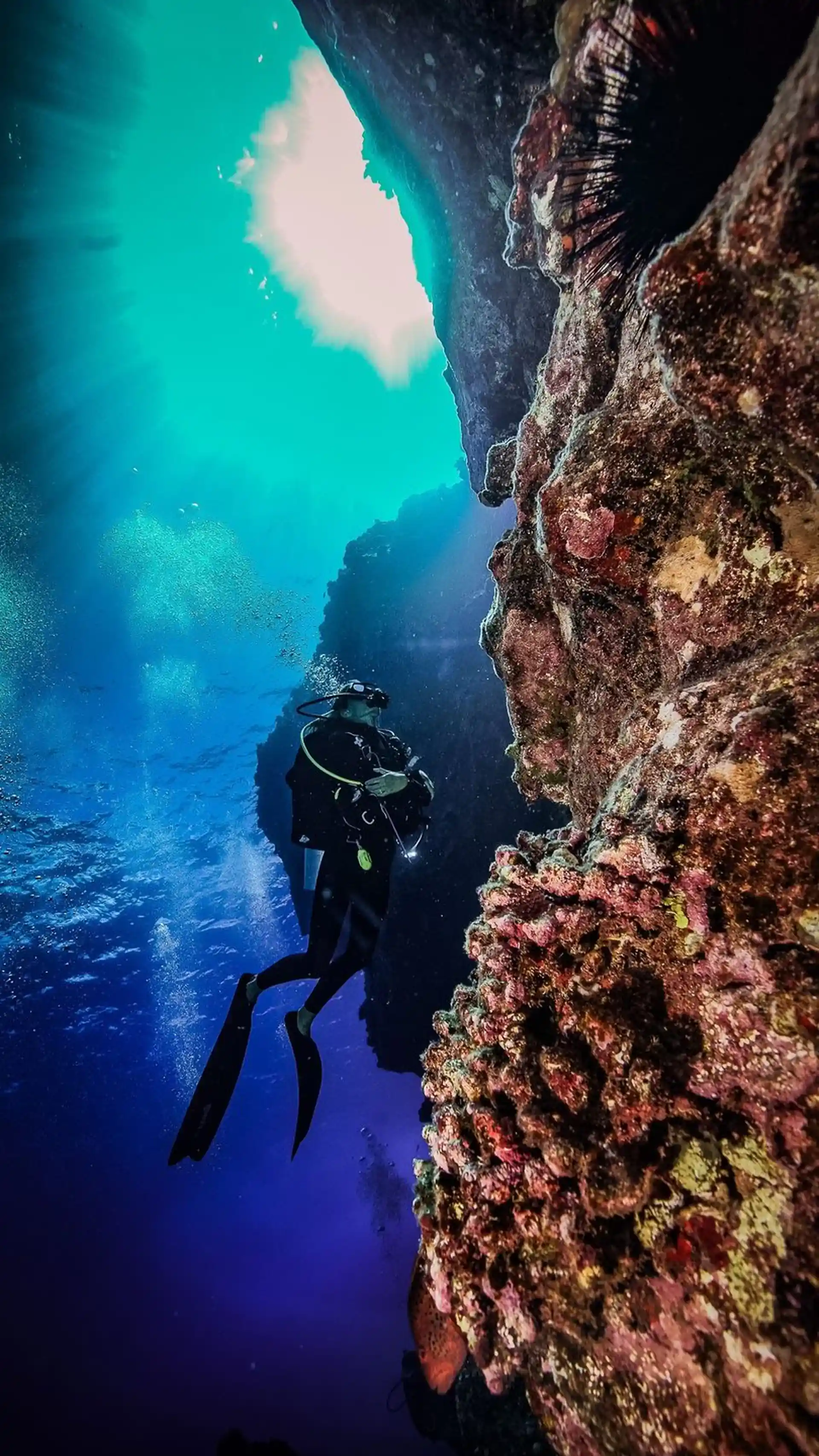 다이빙 포인트 사진