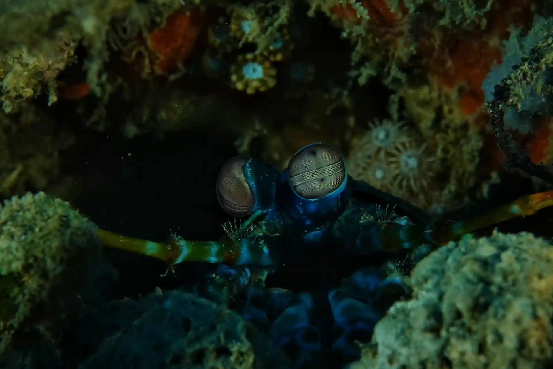 Foto de la actividad