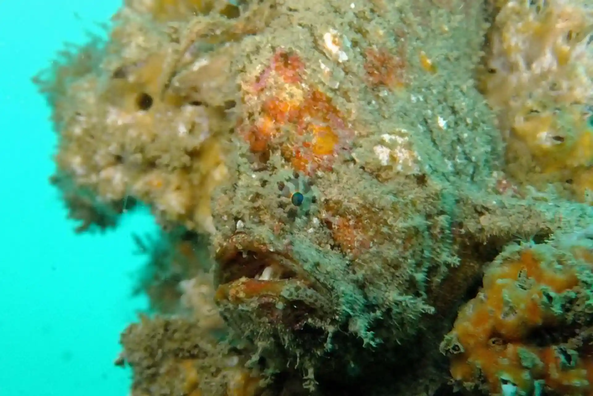 Foto des Tauchplatzes