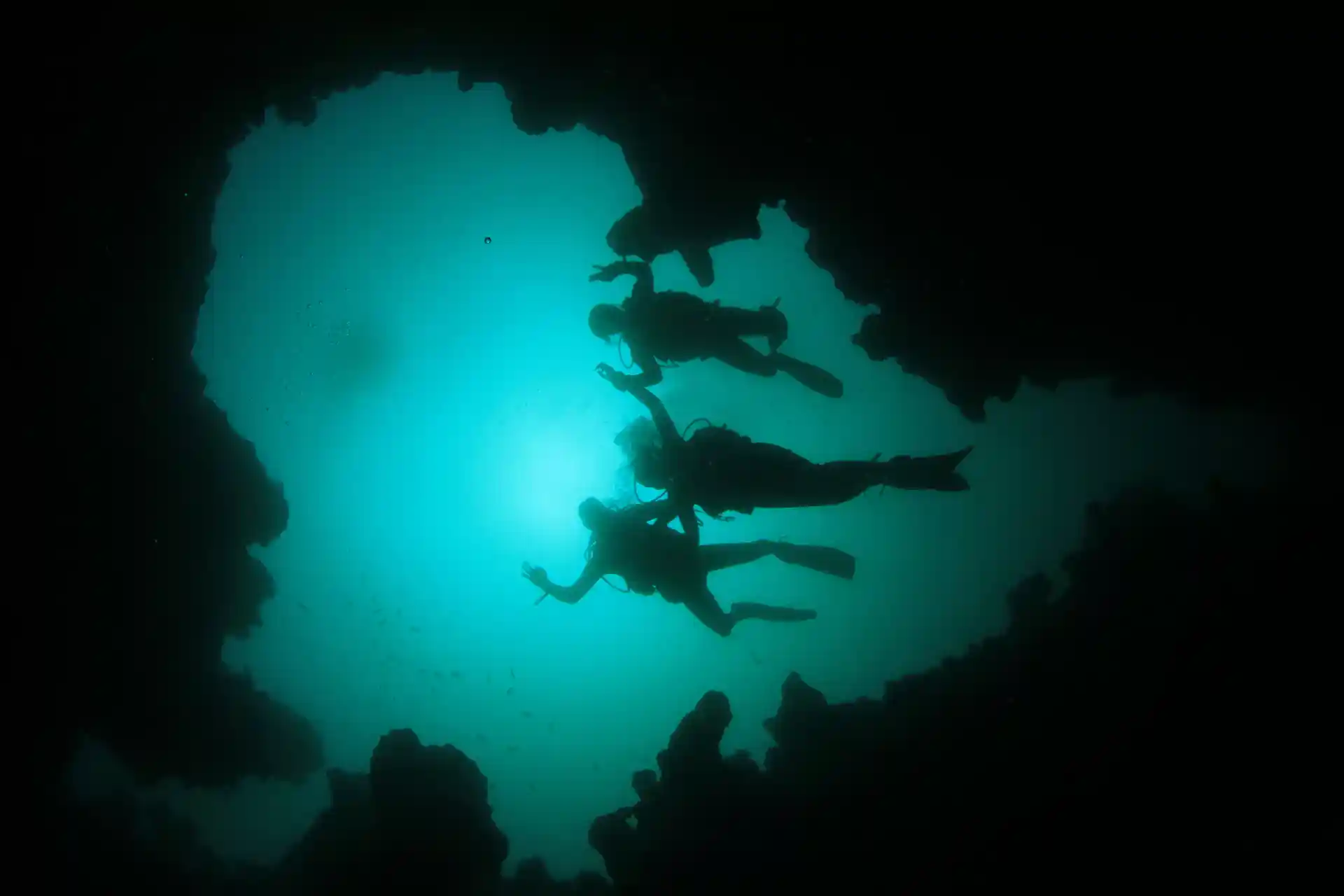 Dive shop photo