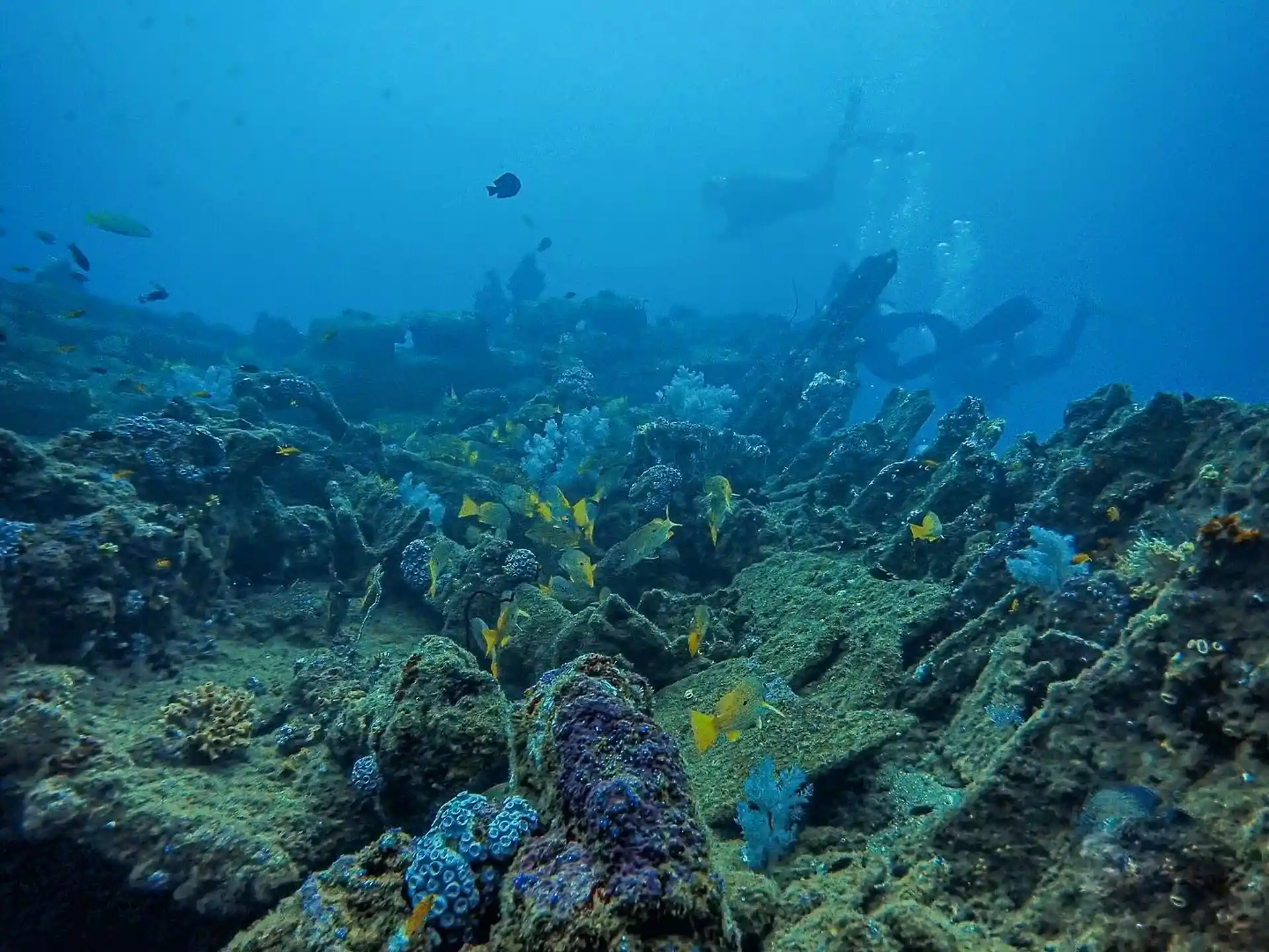 Dive site photo