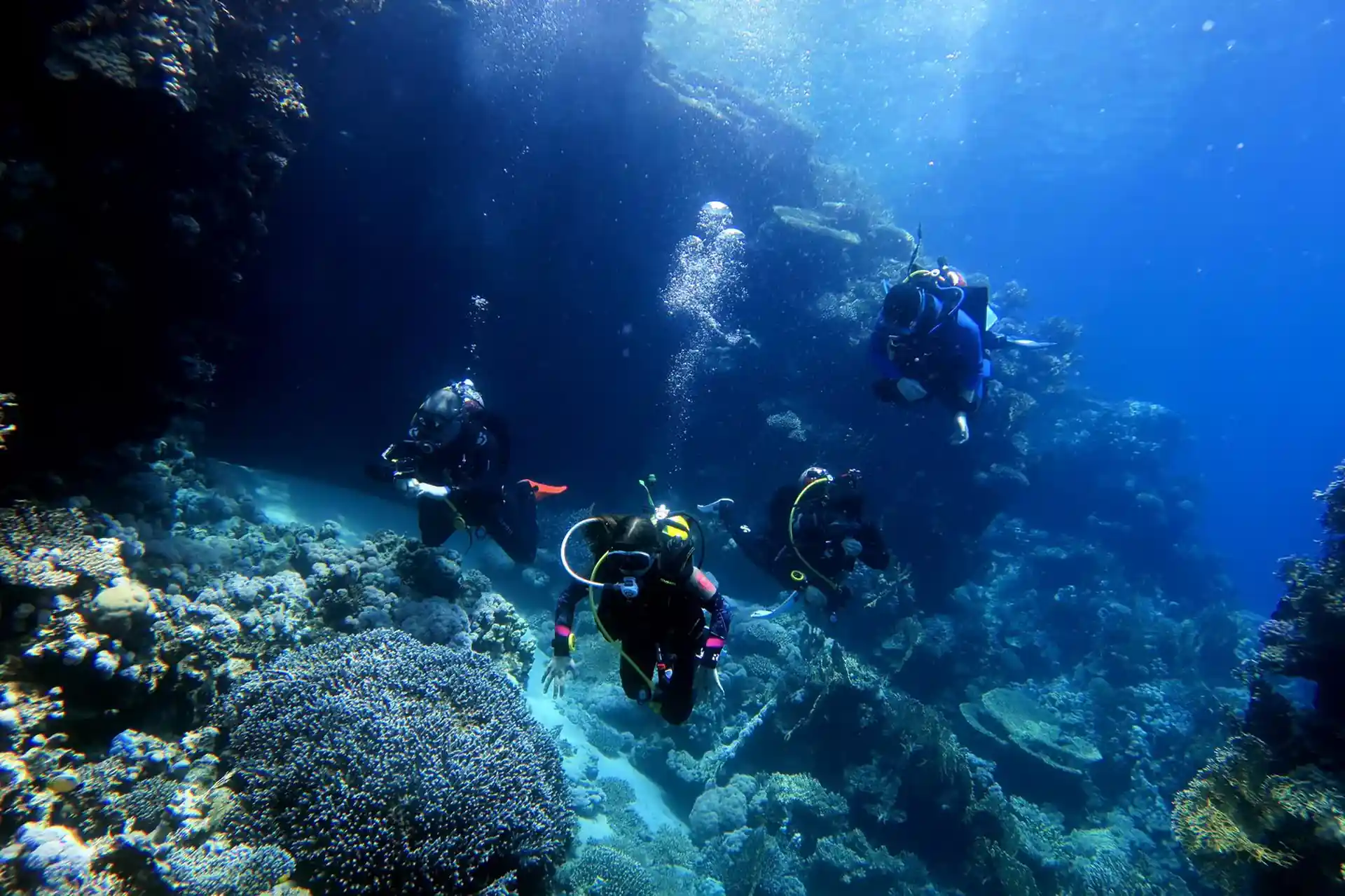 Dive shop photo