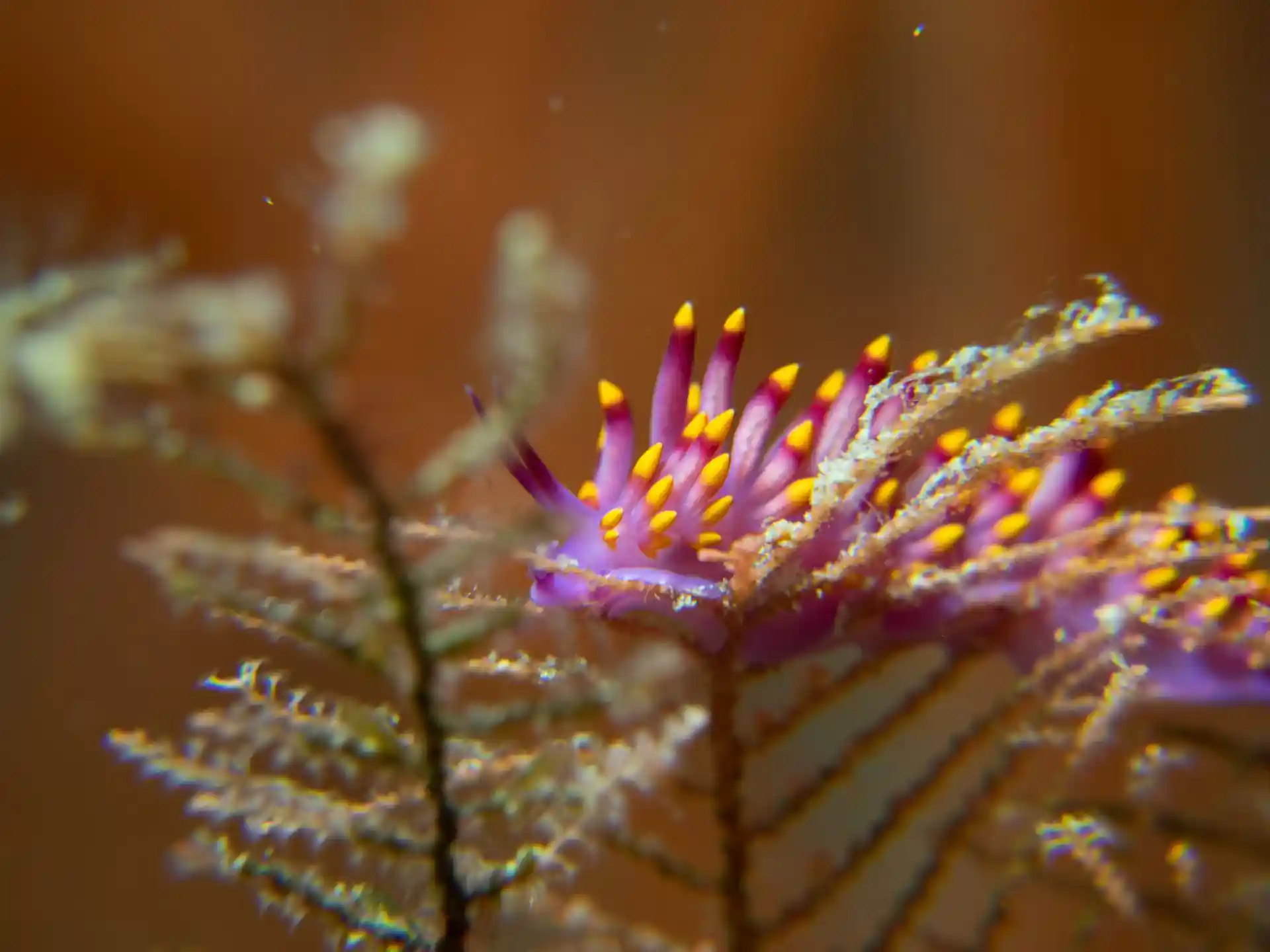 Dive site photo
