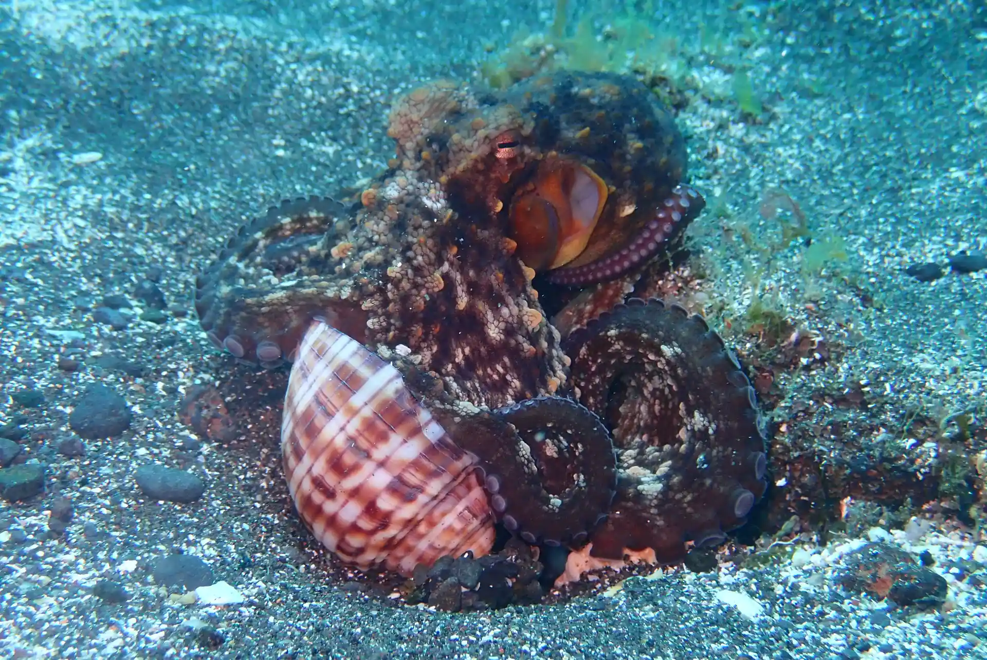 Foto de la actividad