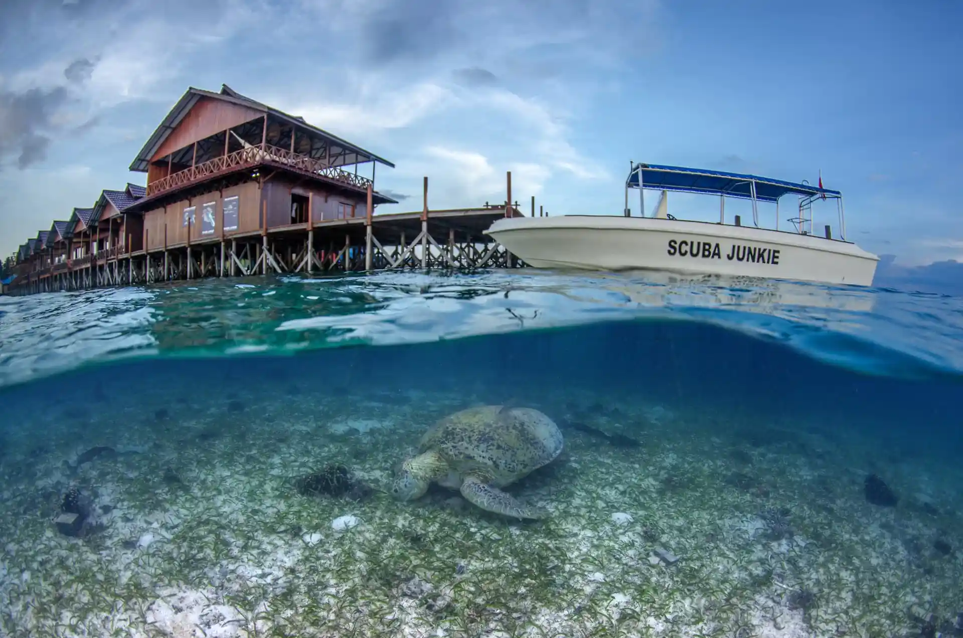 Dive shop photo