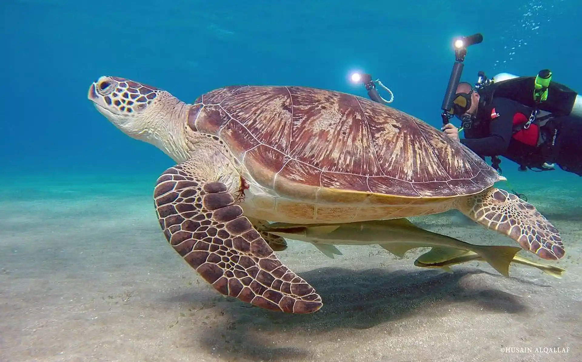 Dive shop photo