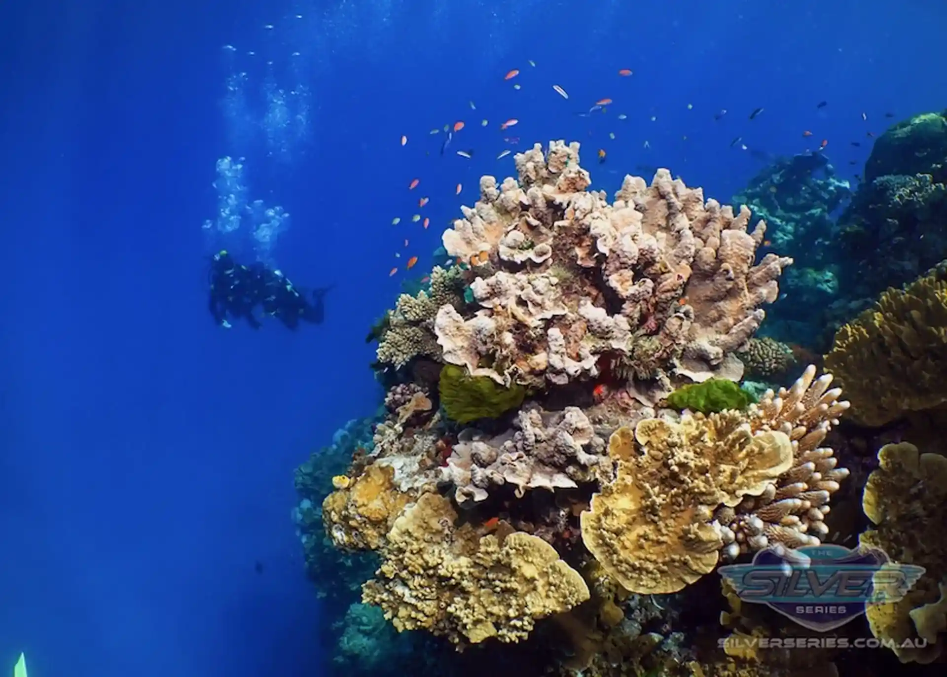 Dive shop photo