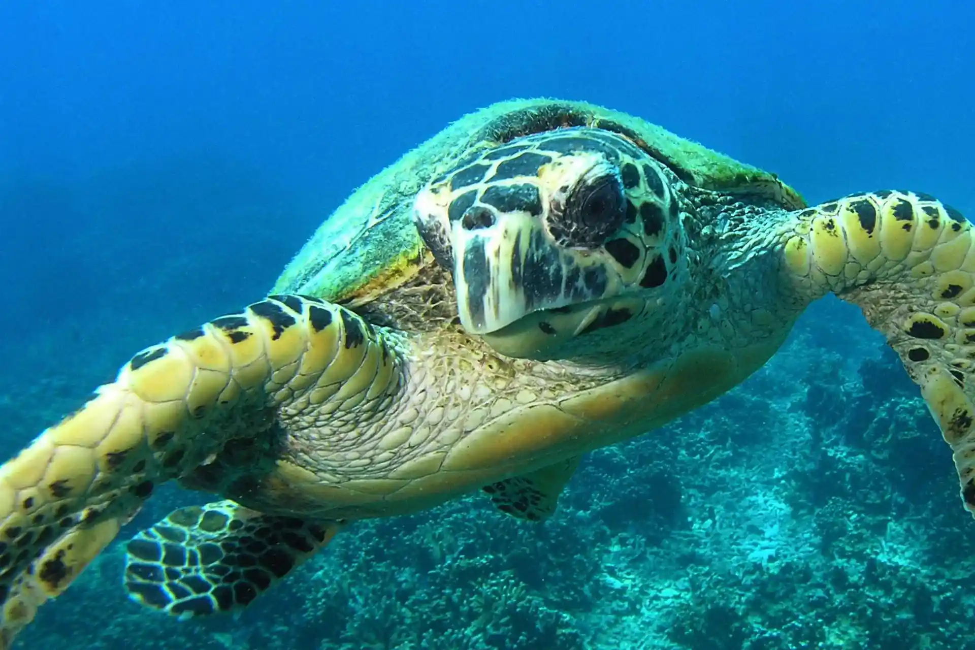 Dive site photo