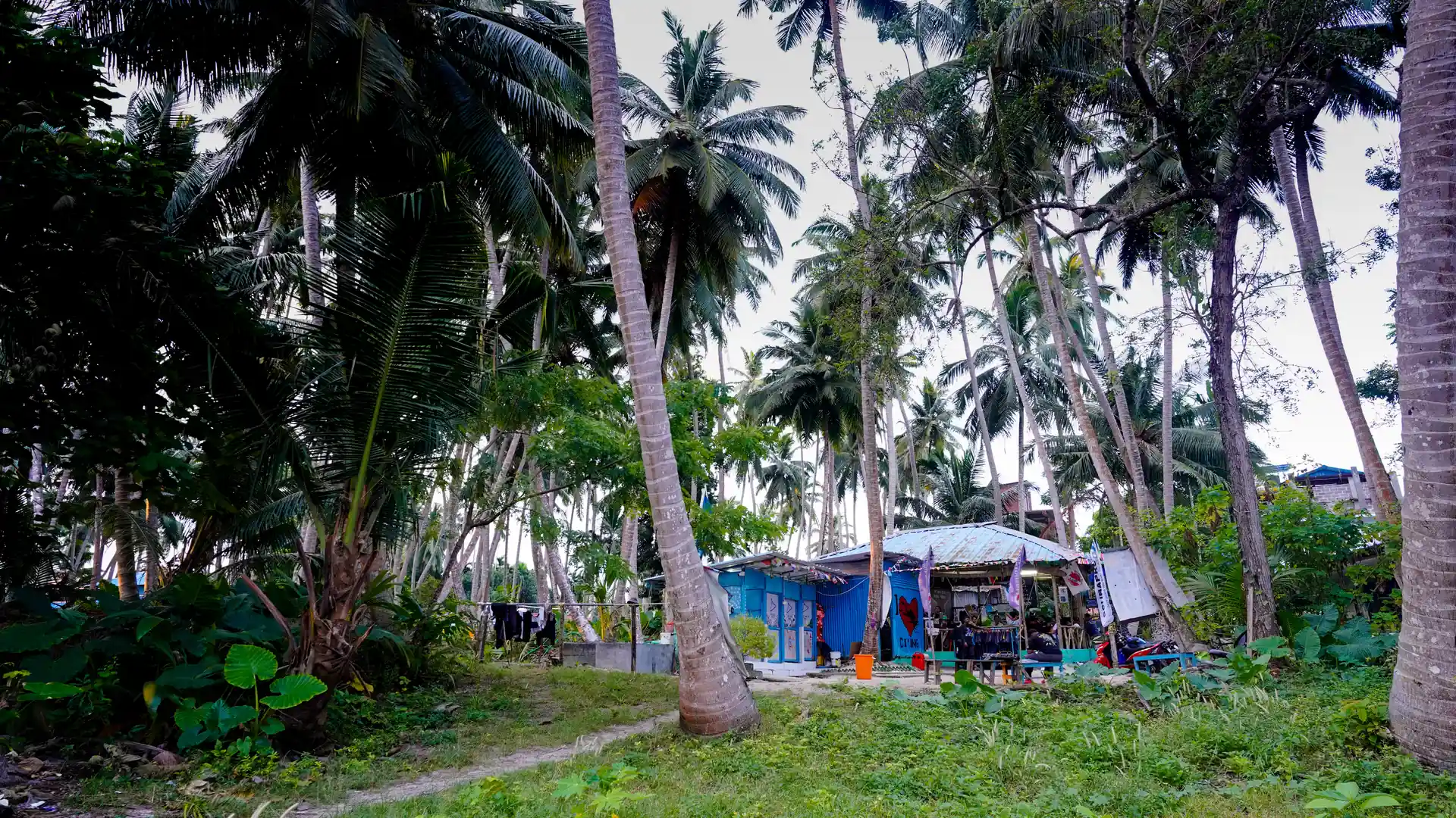 Main photo