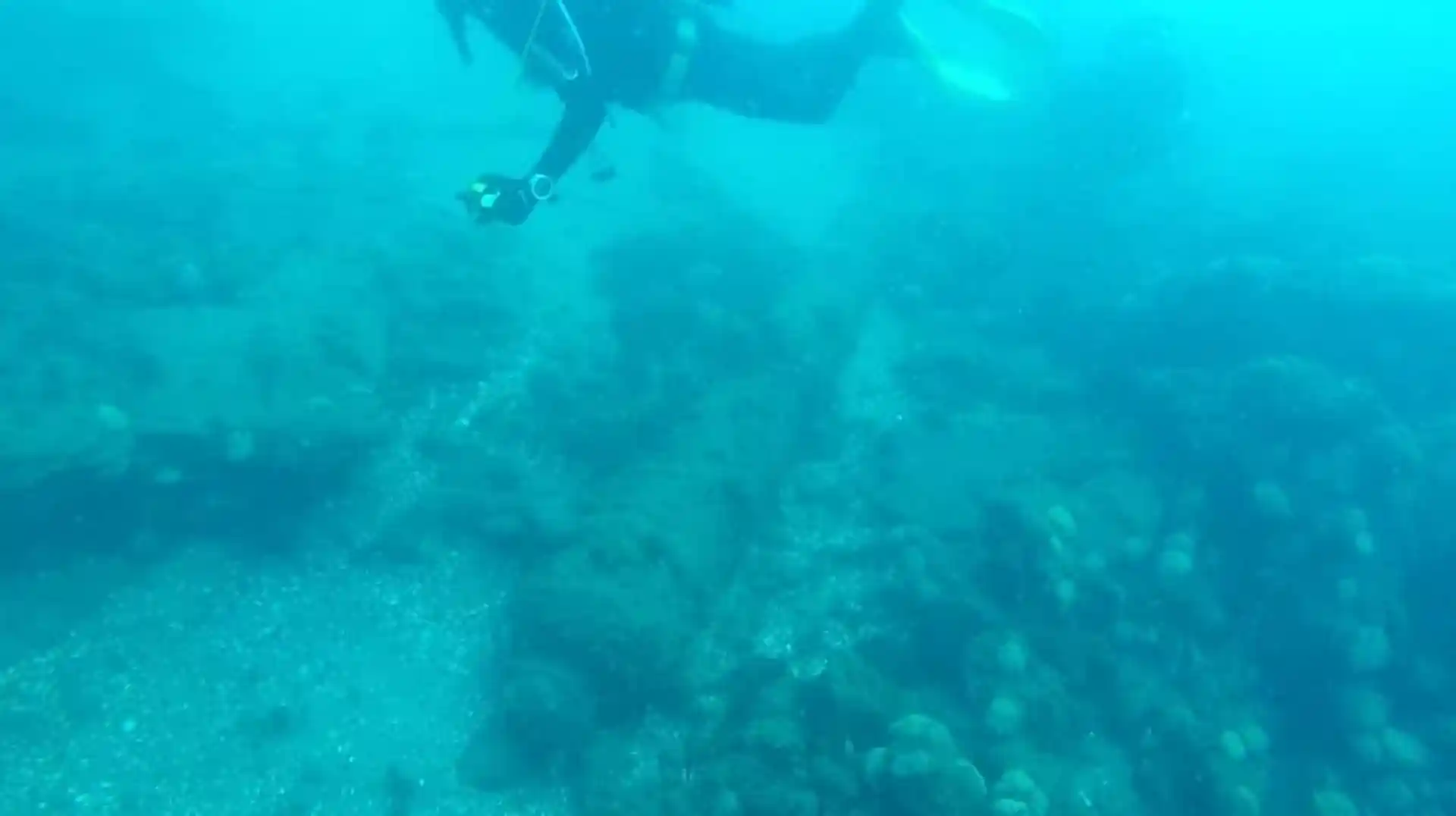 ダイビングサイトの写真