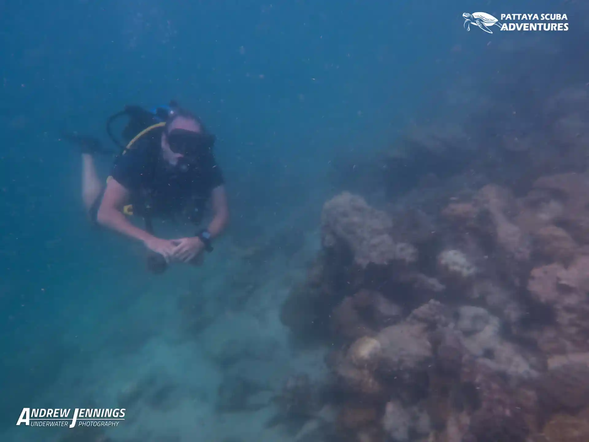 다이빙 포인트 사진