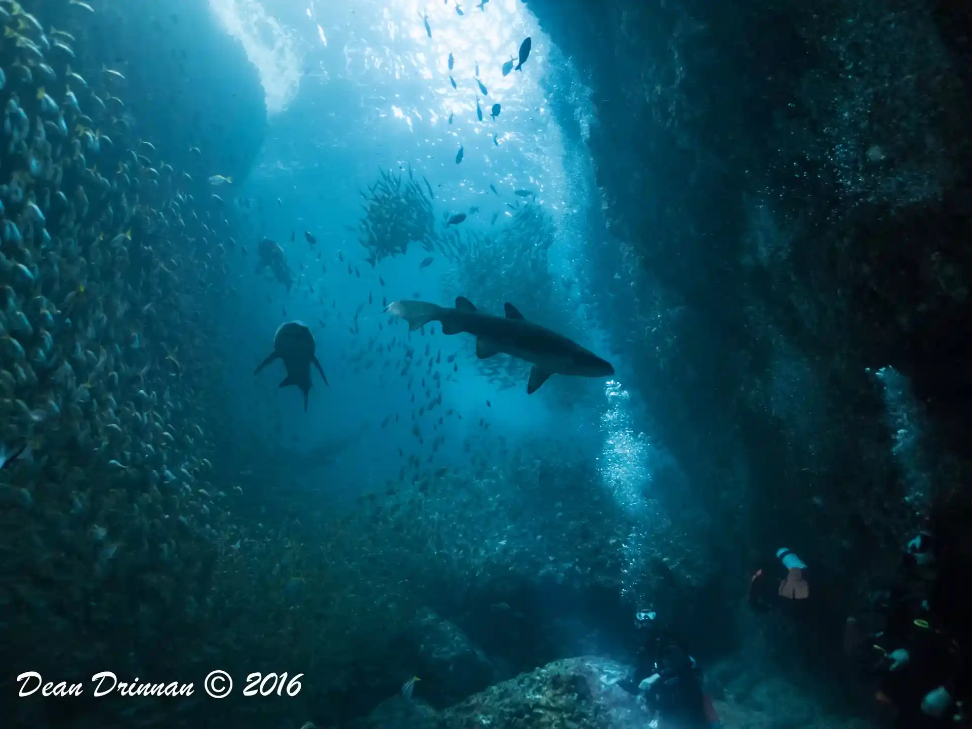 Dive site photo