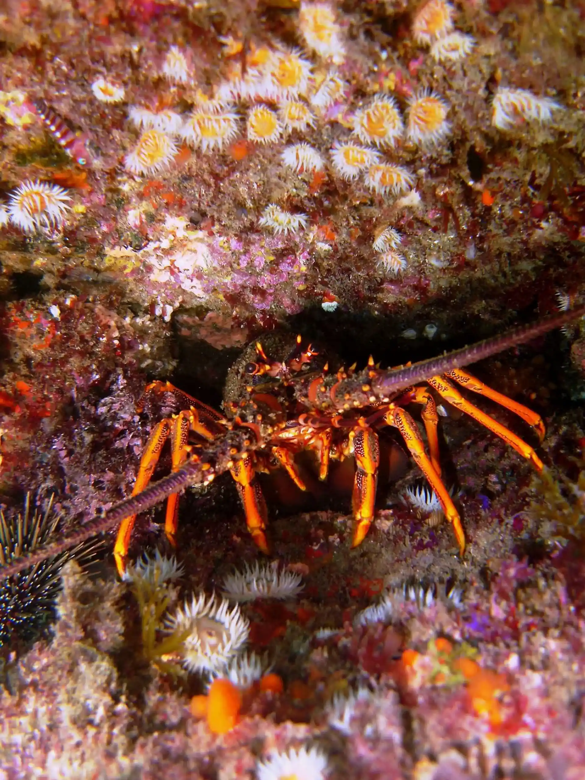 Dive site photo