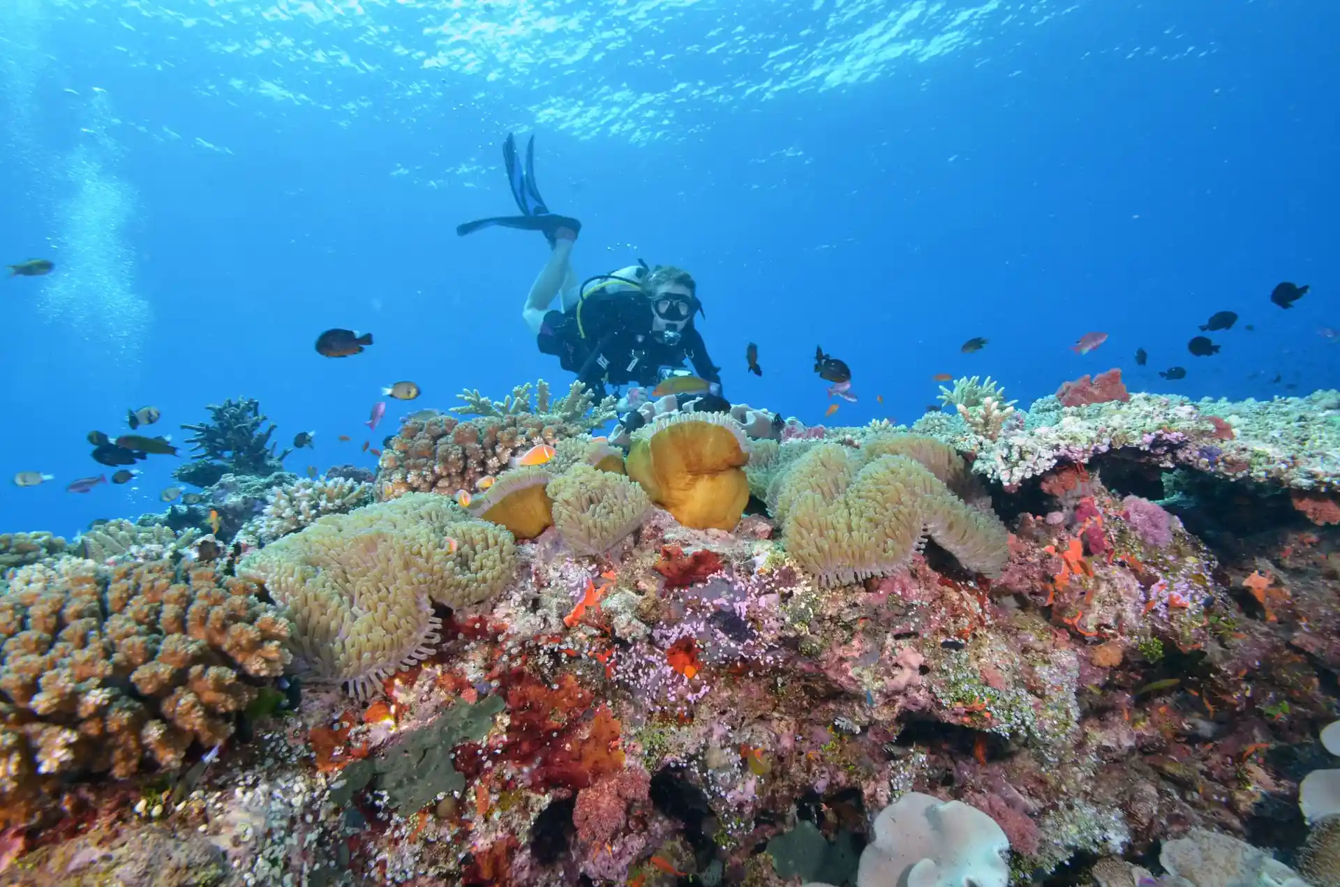 Dive shop photo