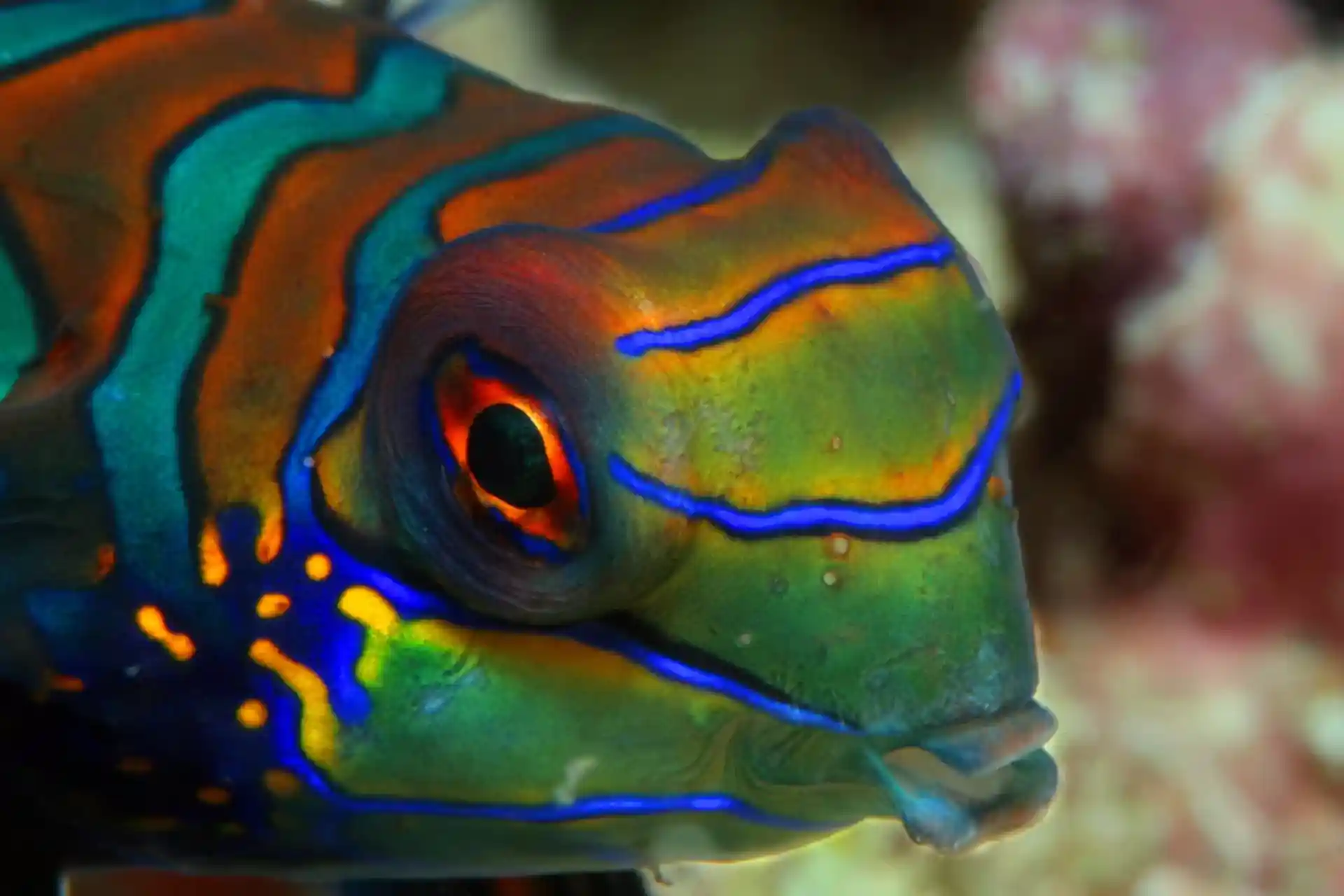 Photo du site de plongée