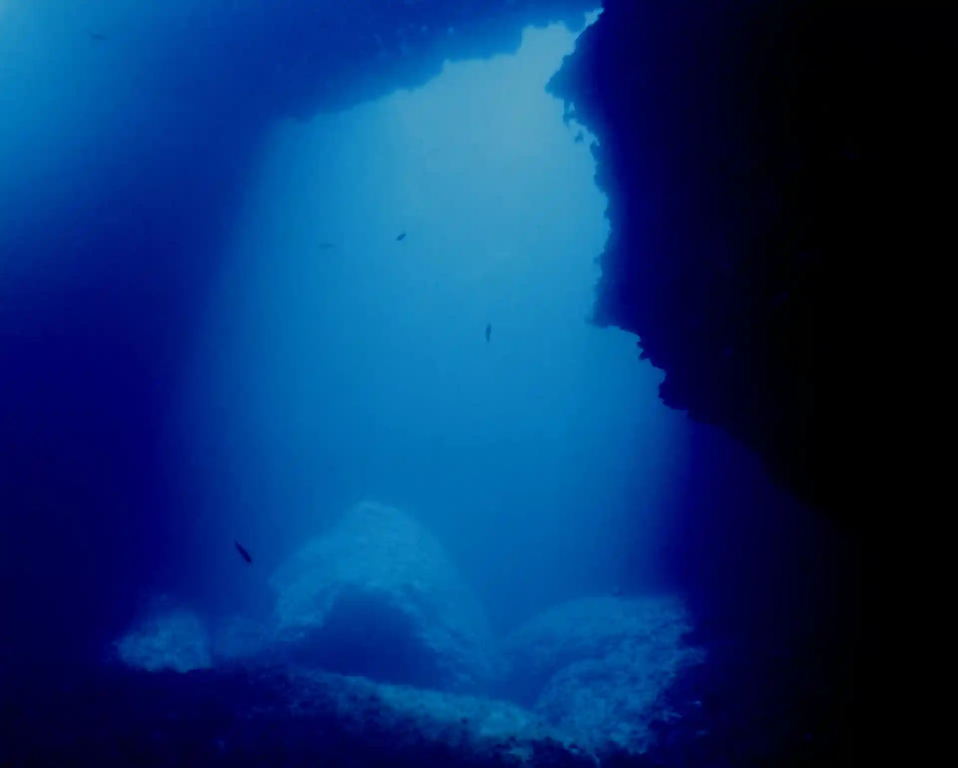 Activity photo