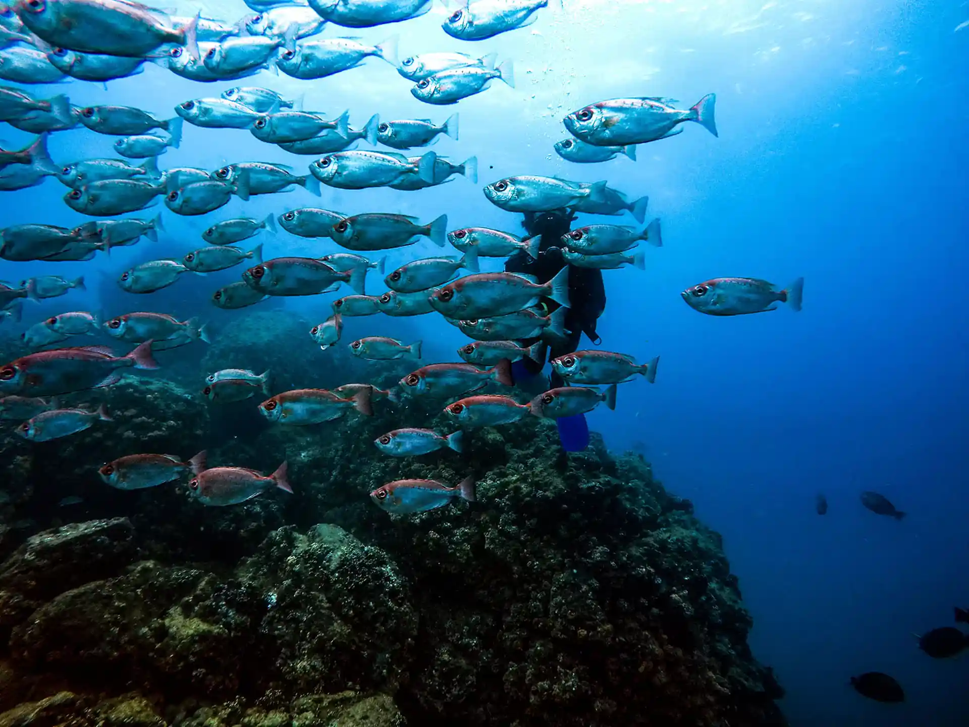 Photo de l'activité