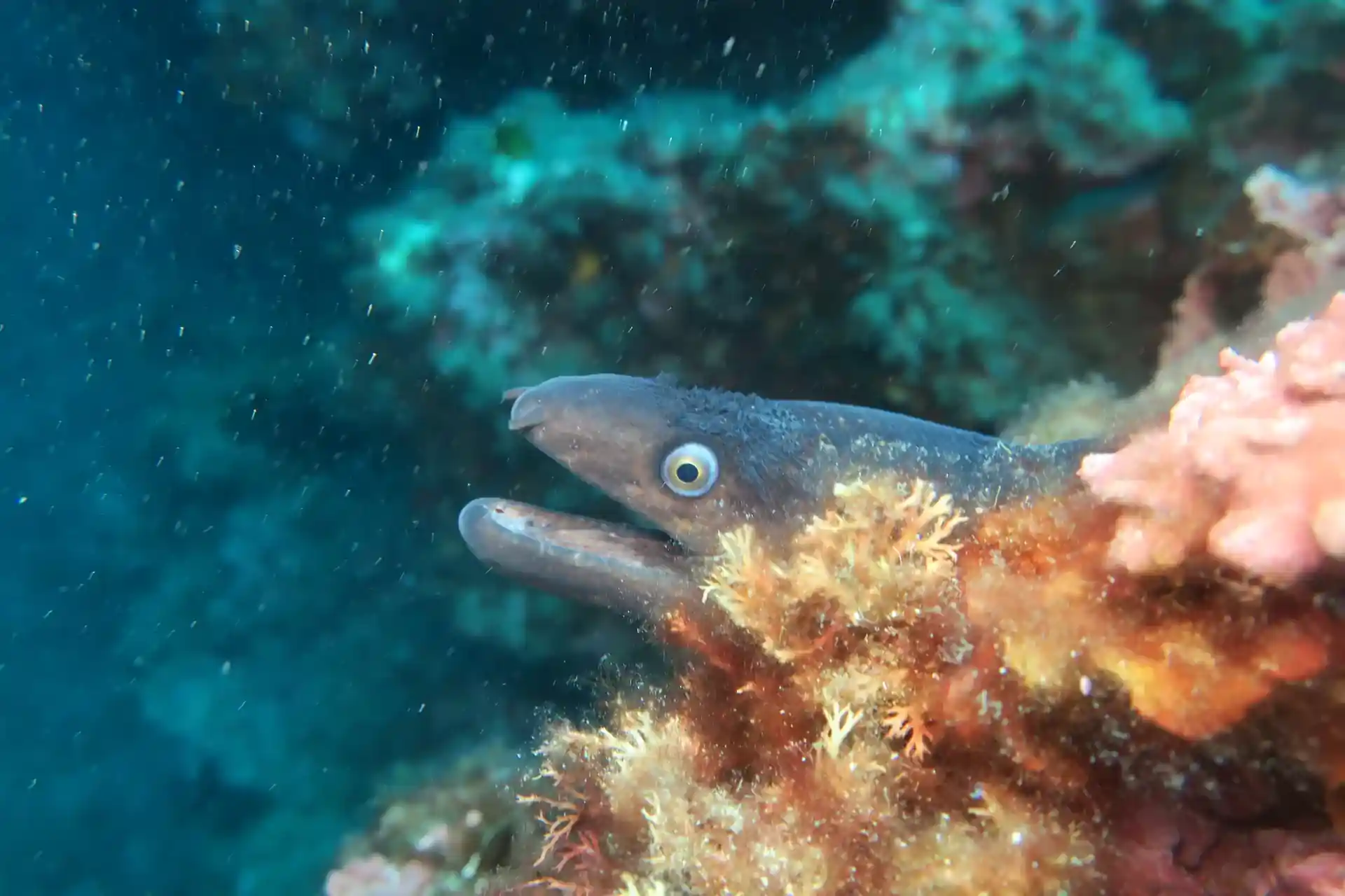 다이빙 포인트 사진