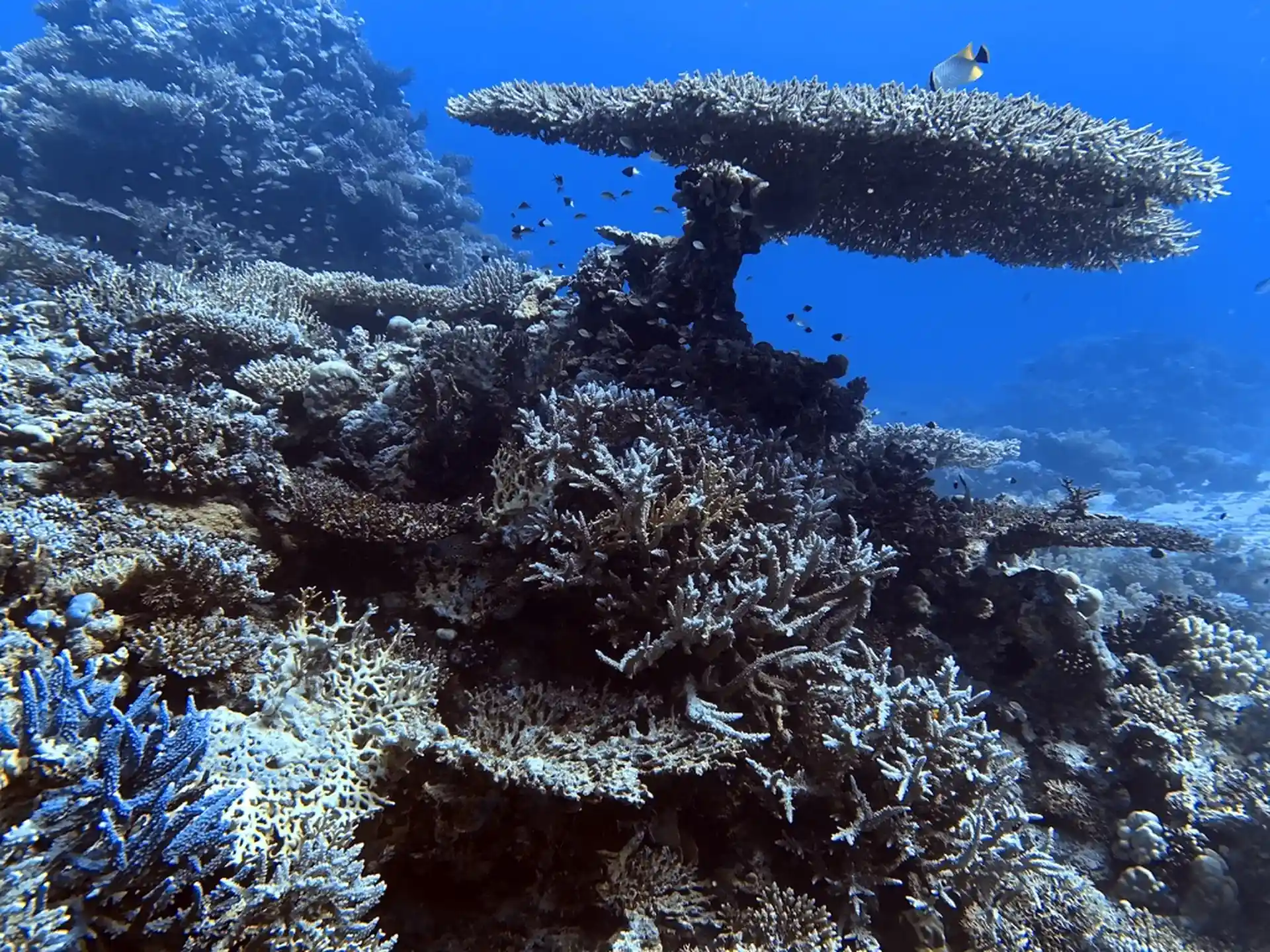 Foto des Tauchplatzes