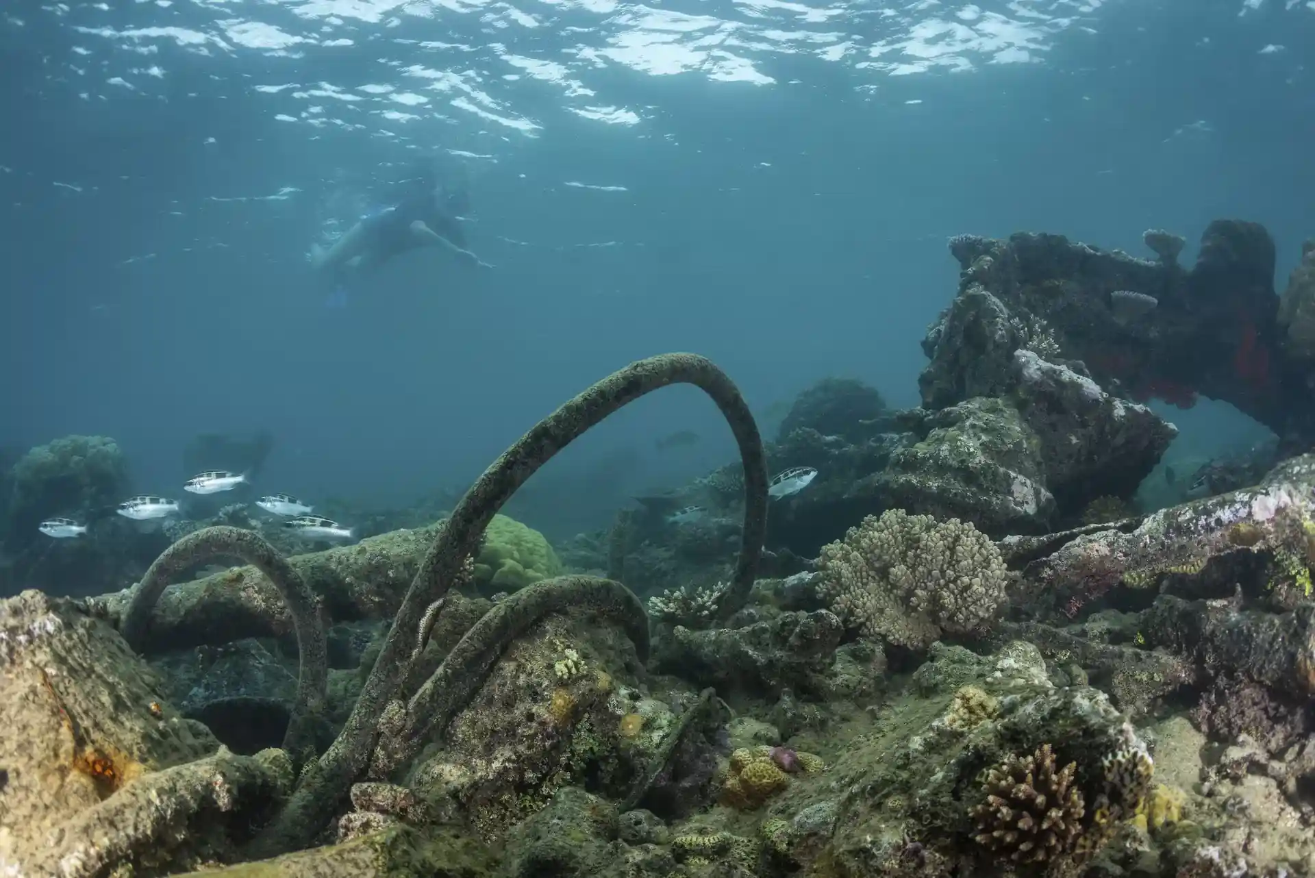 Dive site photo