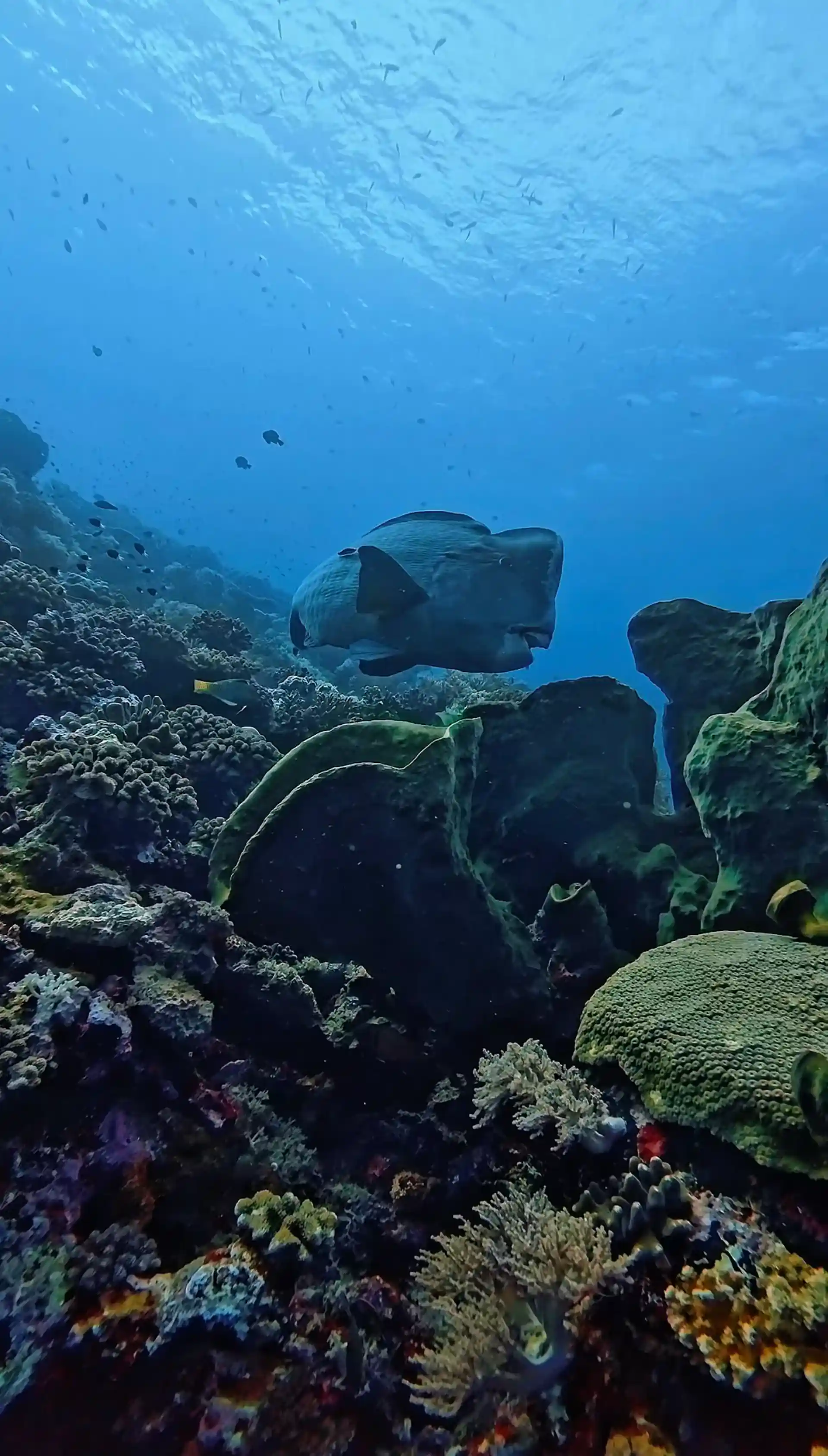 Dive shop photo