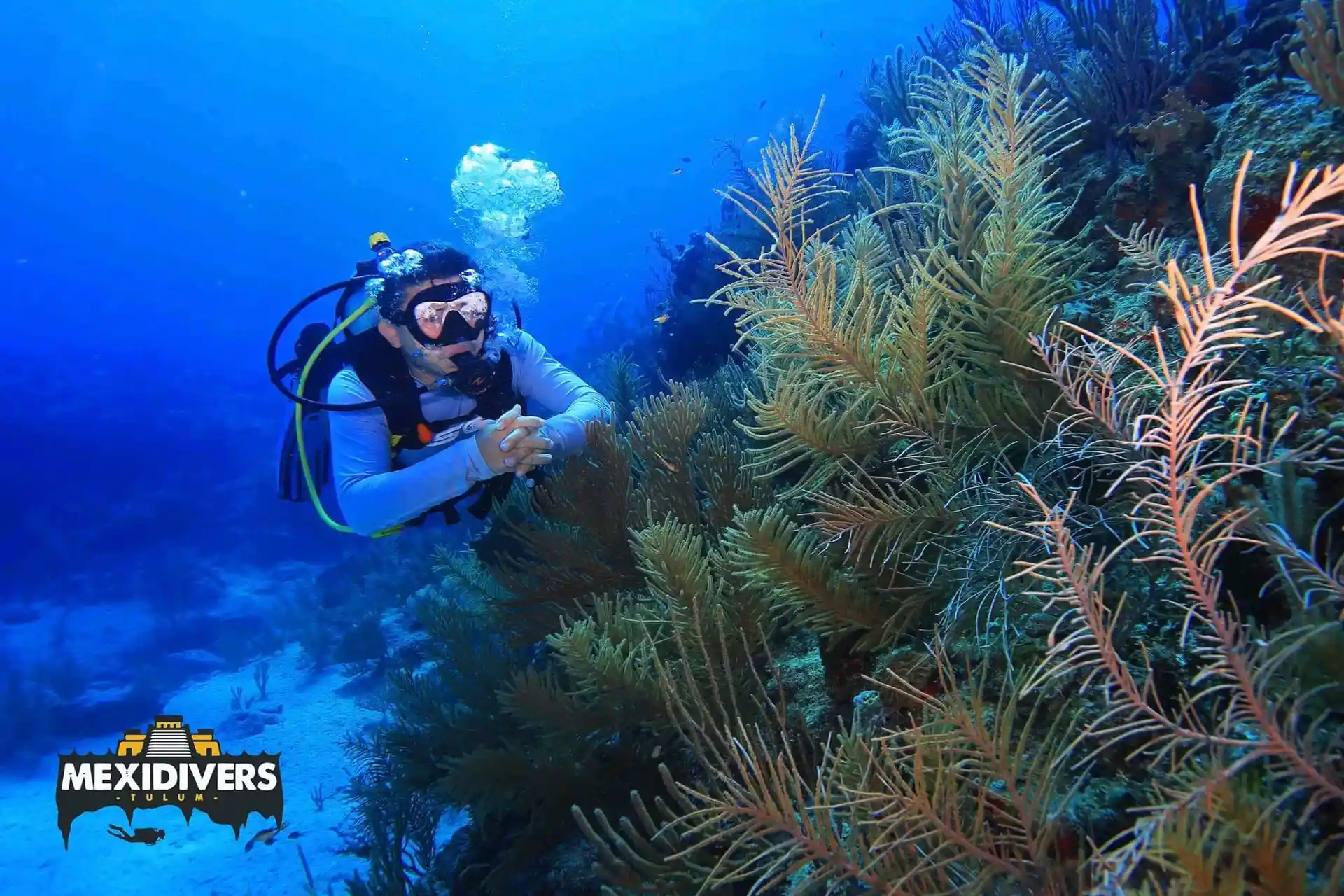 Dive site photo