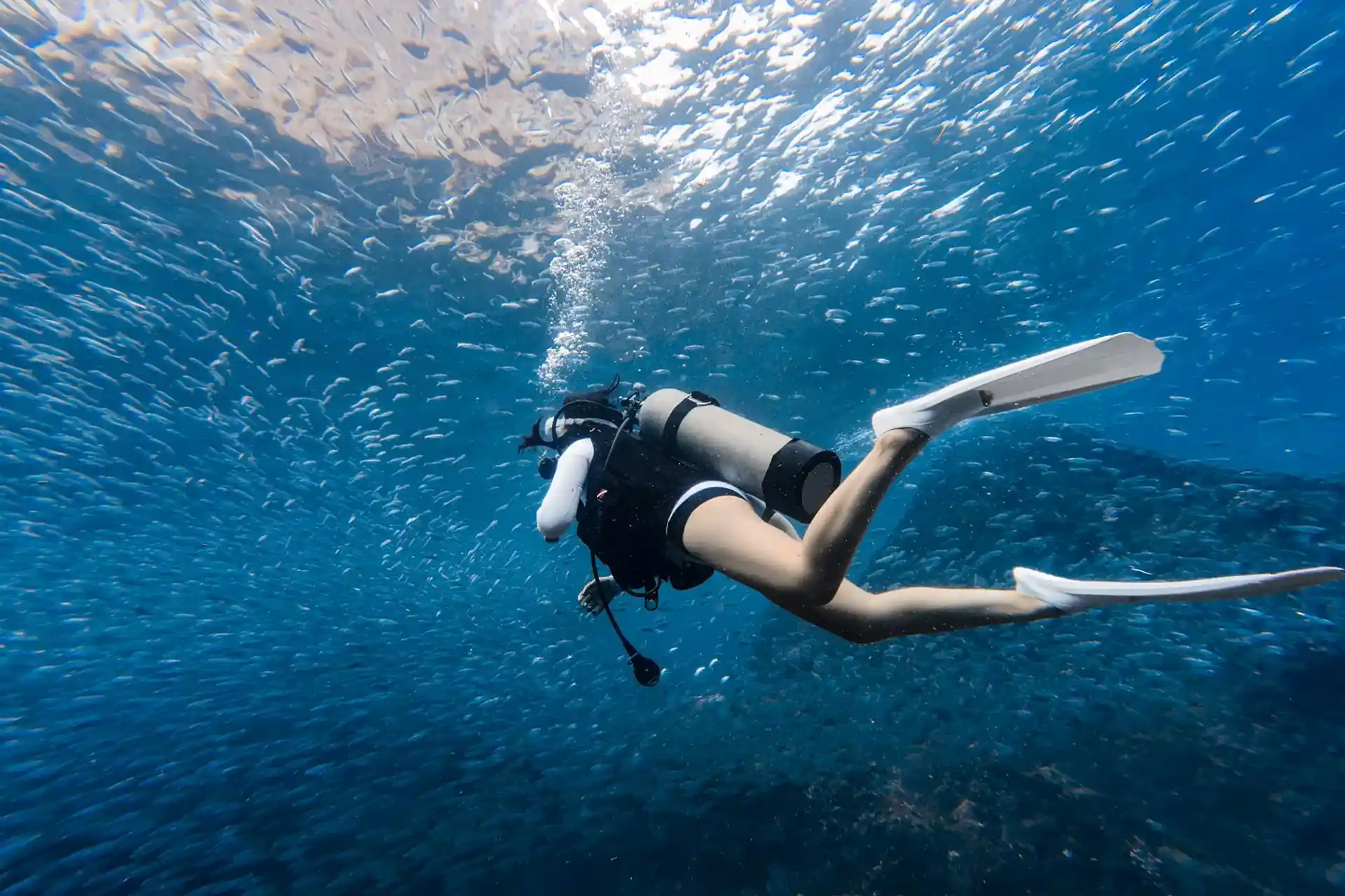 ダイビングサイトの写真