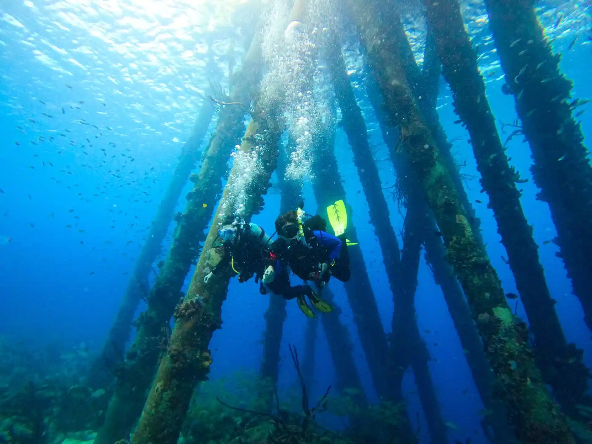 Foto del sitio de buceo