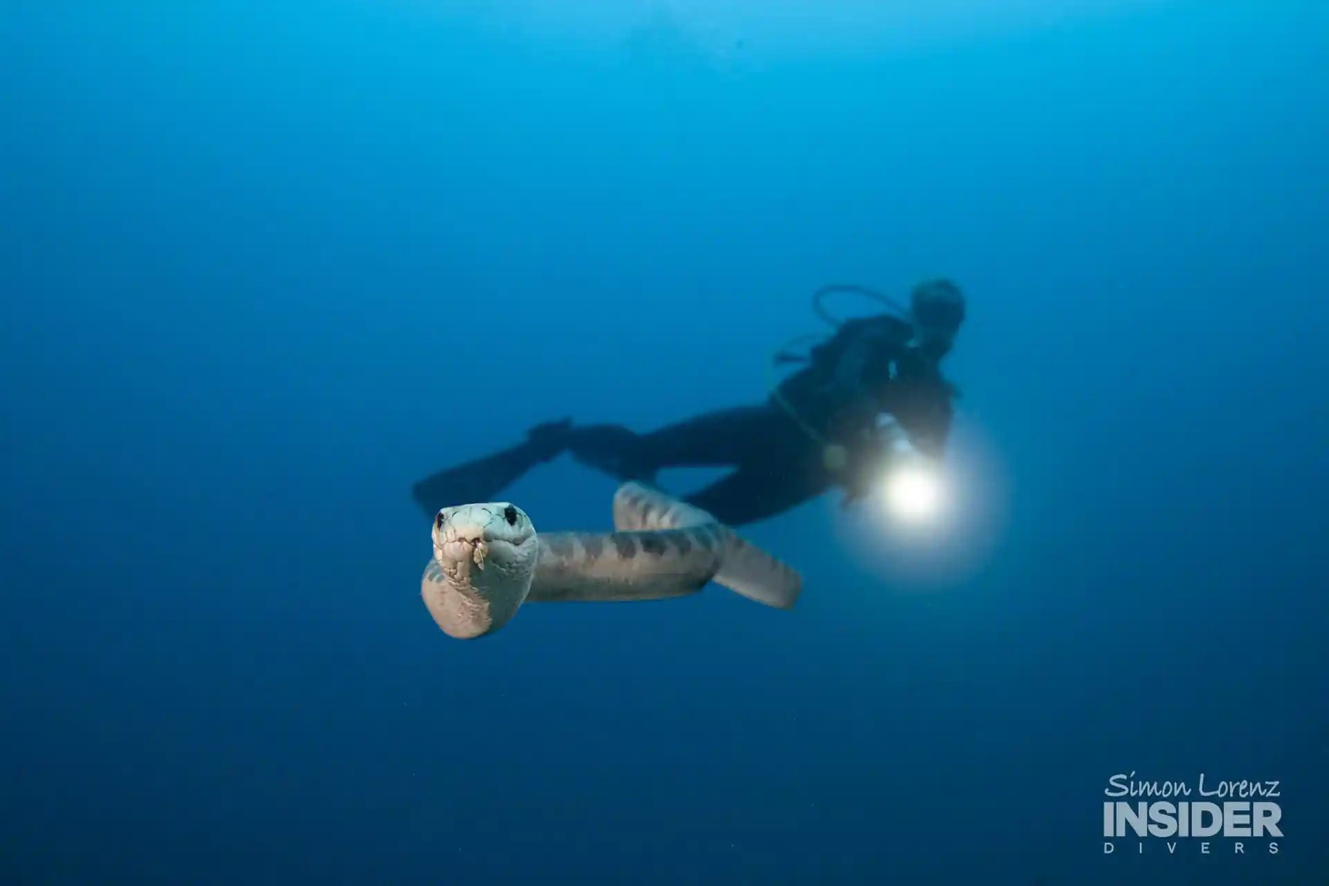 Dive shop photo