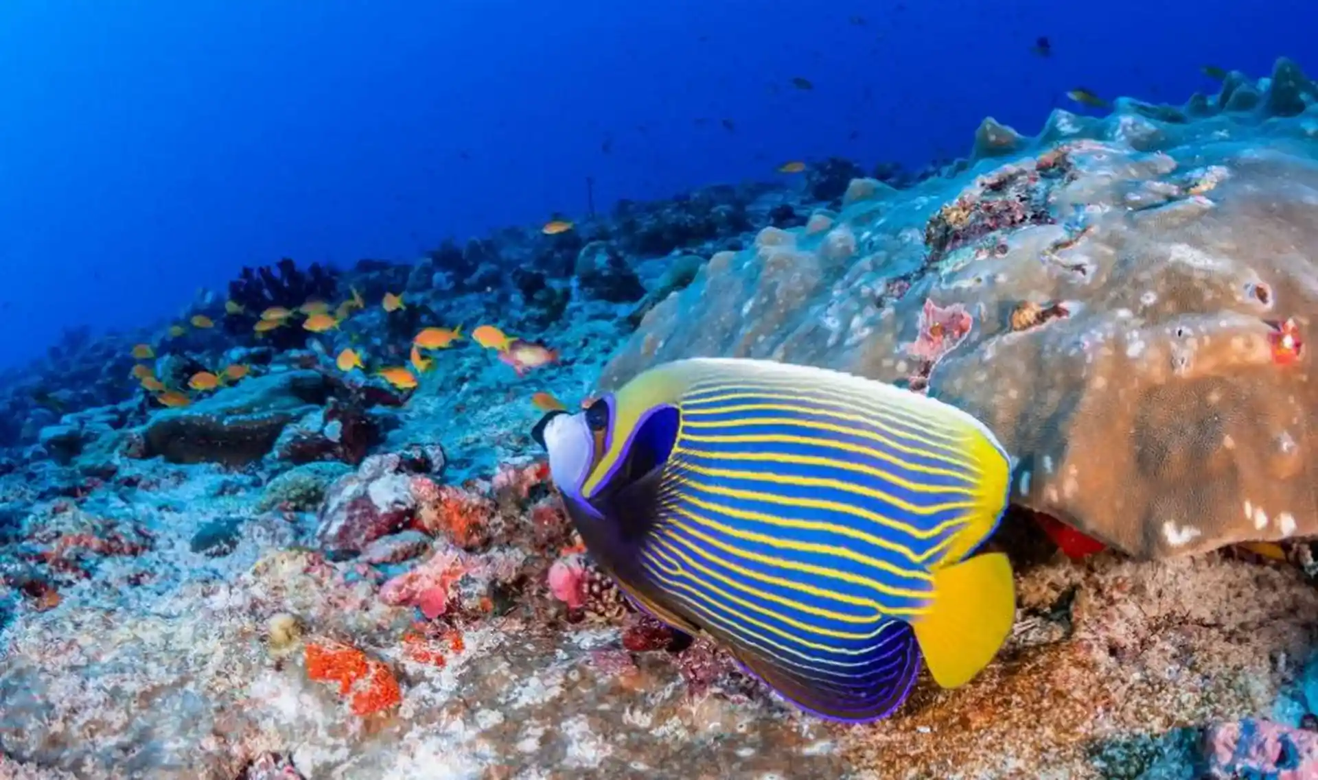 Dive shop photo
