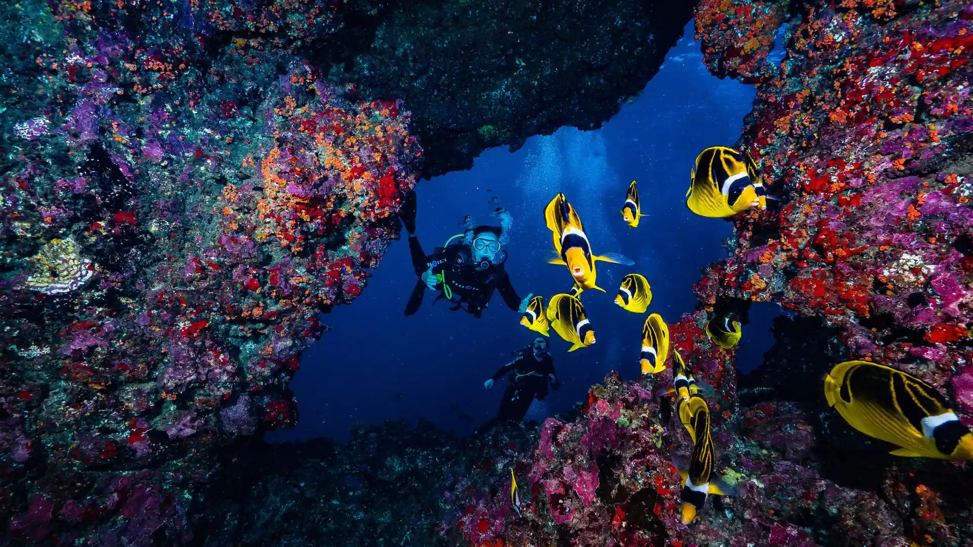 Dive site photo