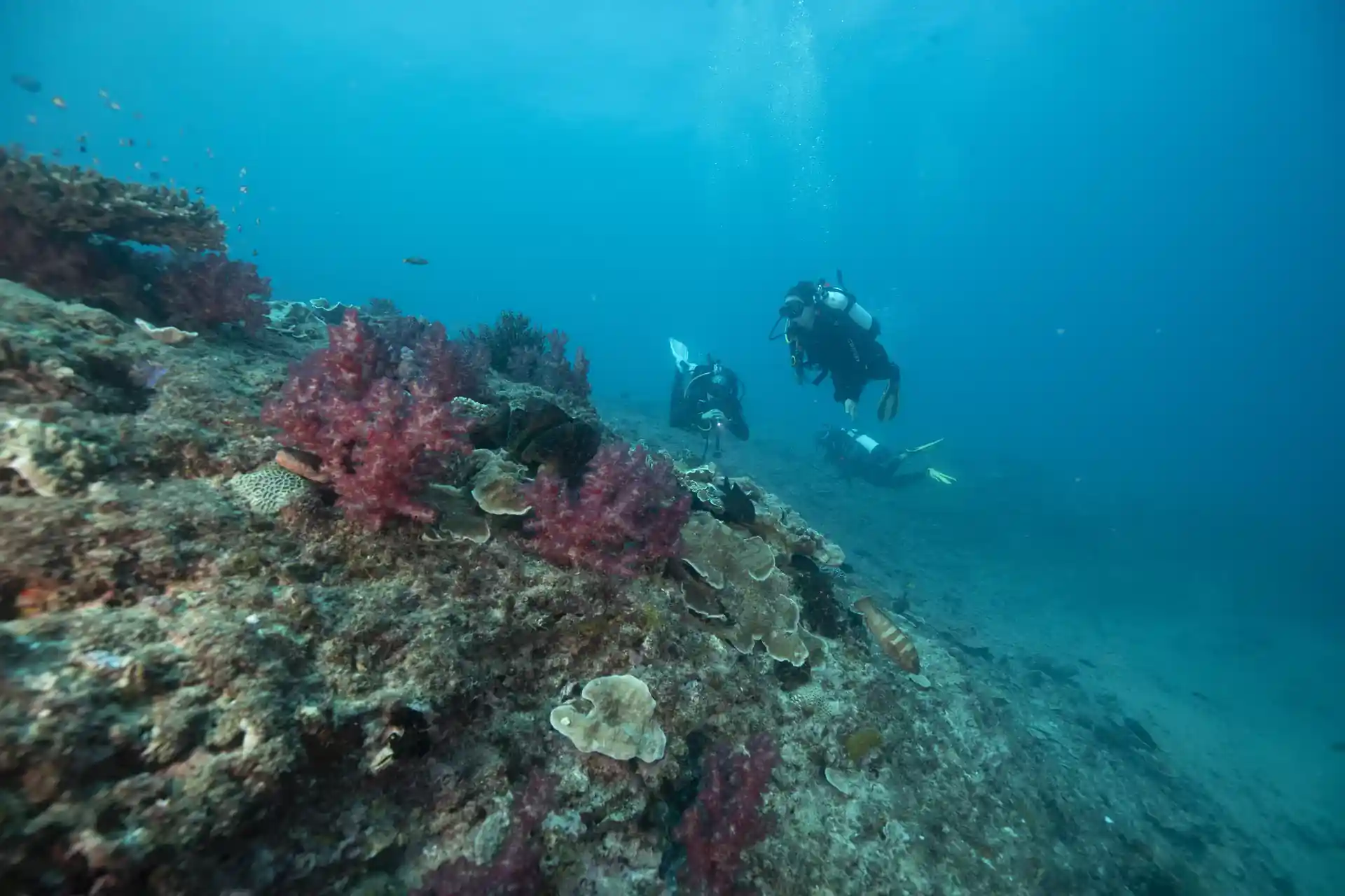 Dive shop photo