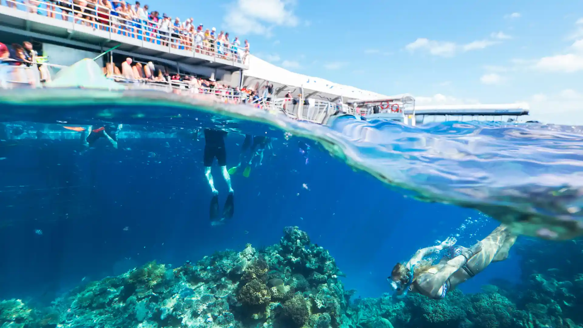 Dive shop photo