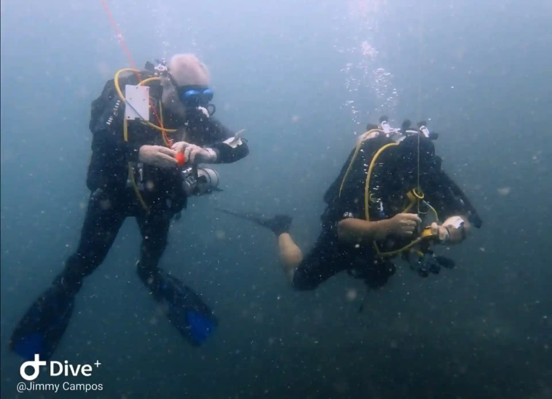 Dive site photo