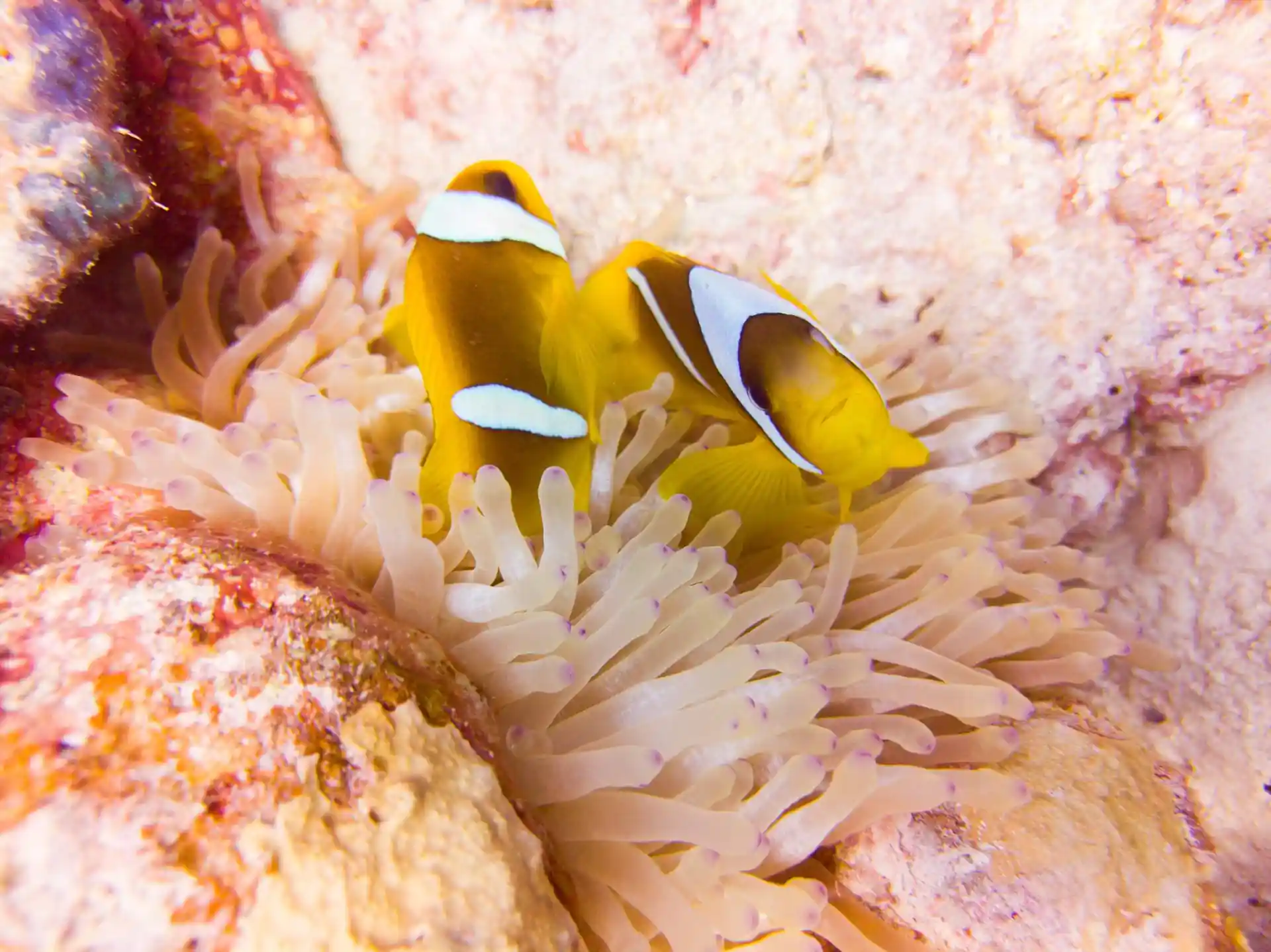 다이빙 포인트 사진