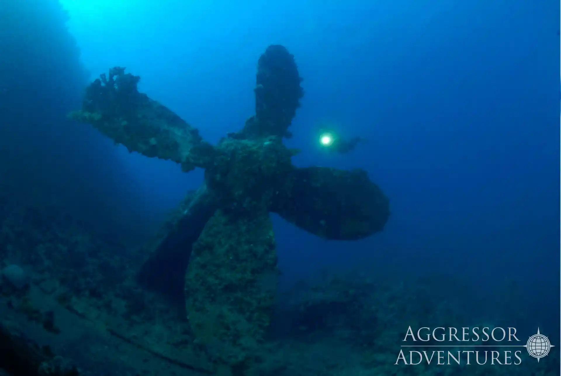 Dive shop photo