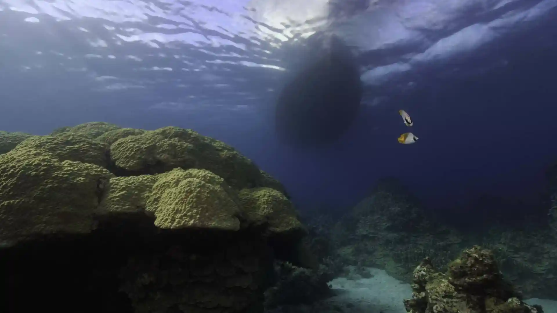 ダイビングサイトの写真