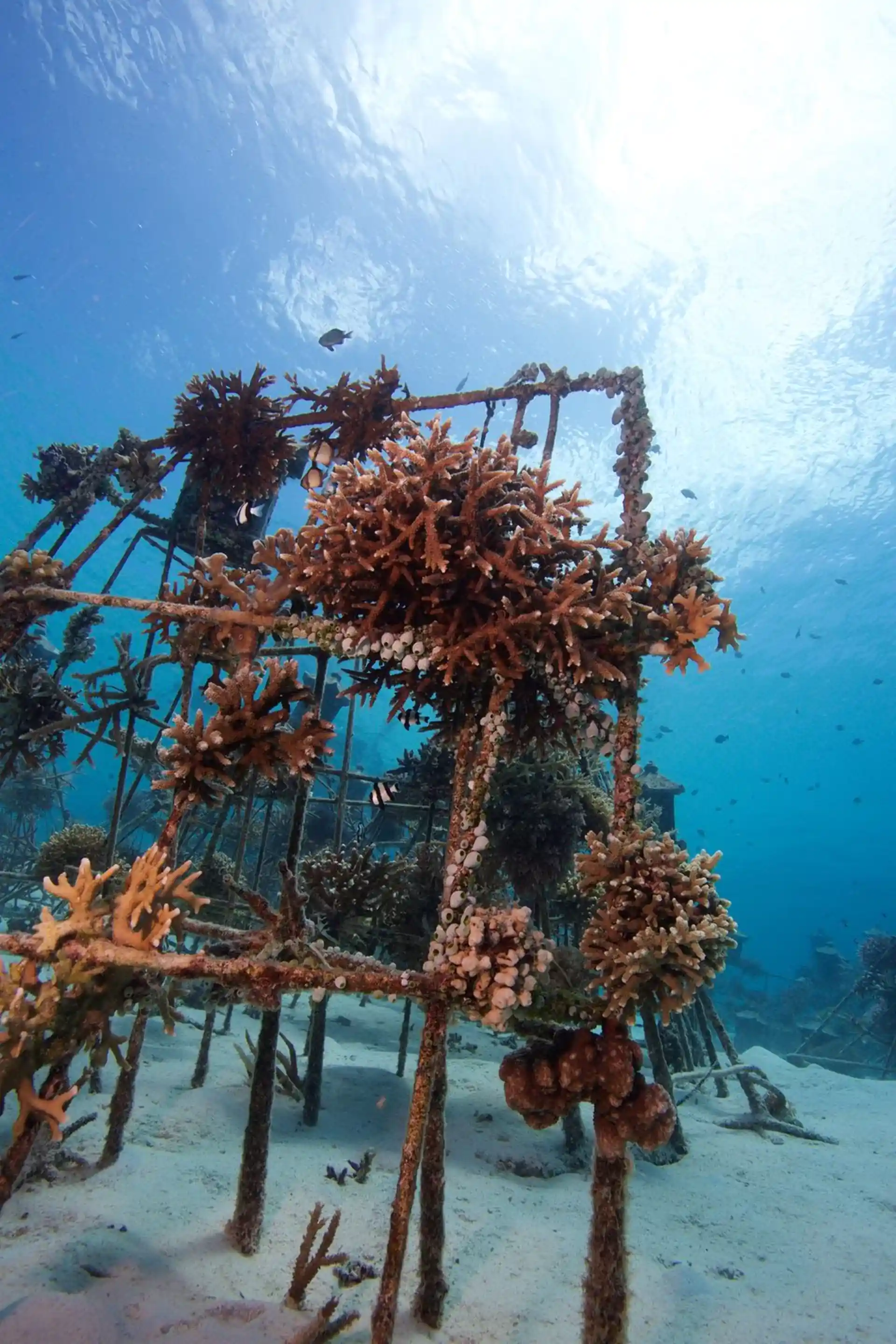 Dive site photo