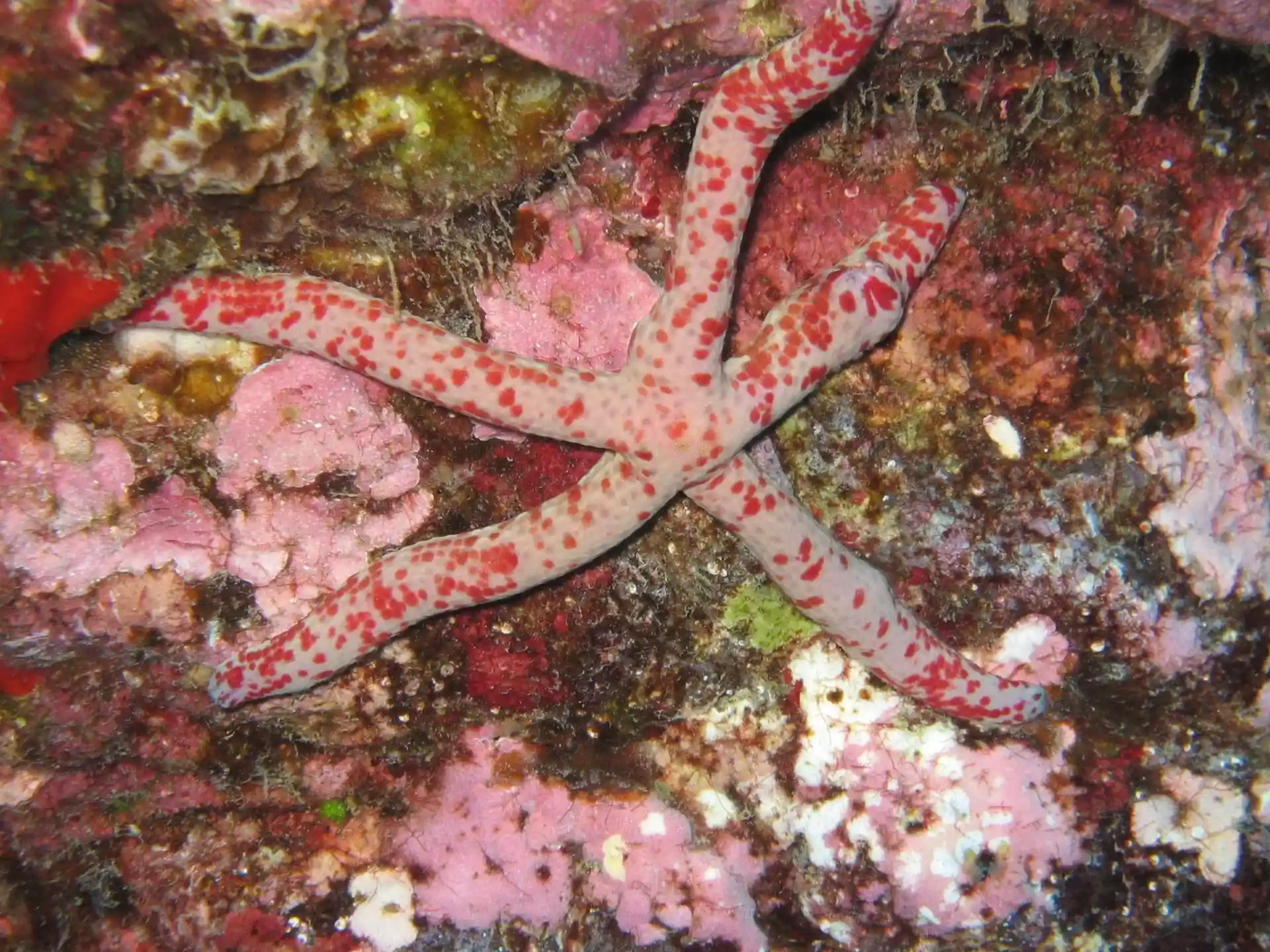 Dive site photo