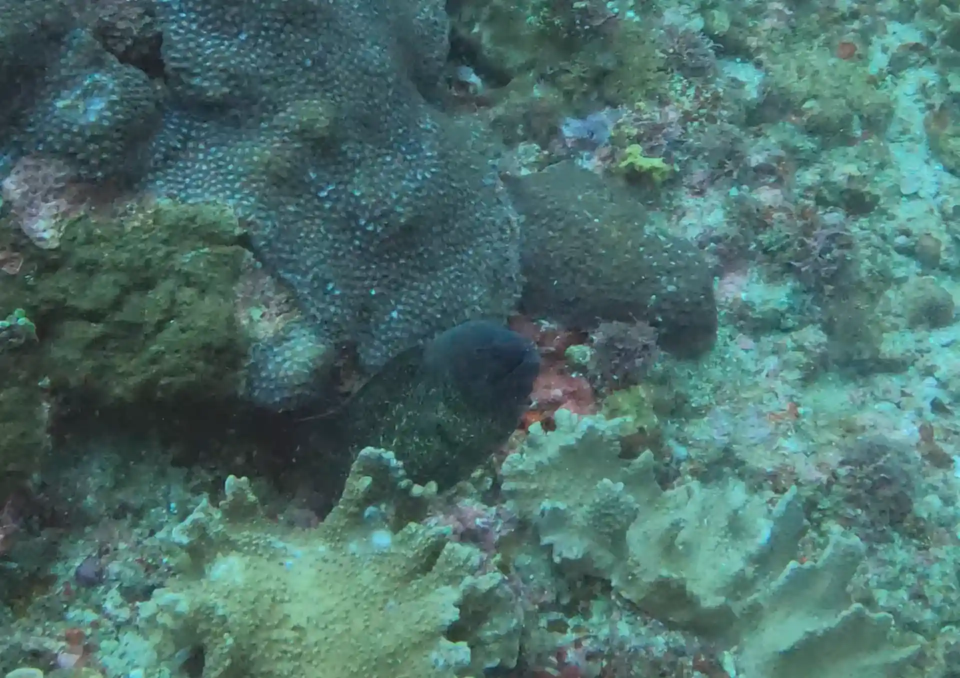 Dive site photo