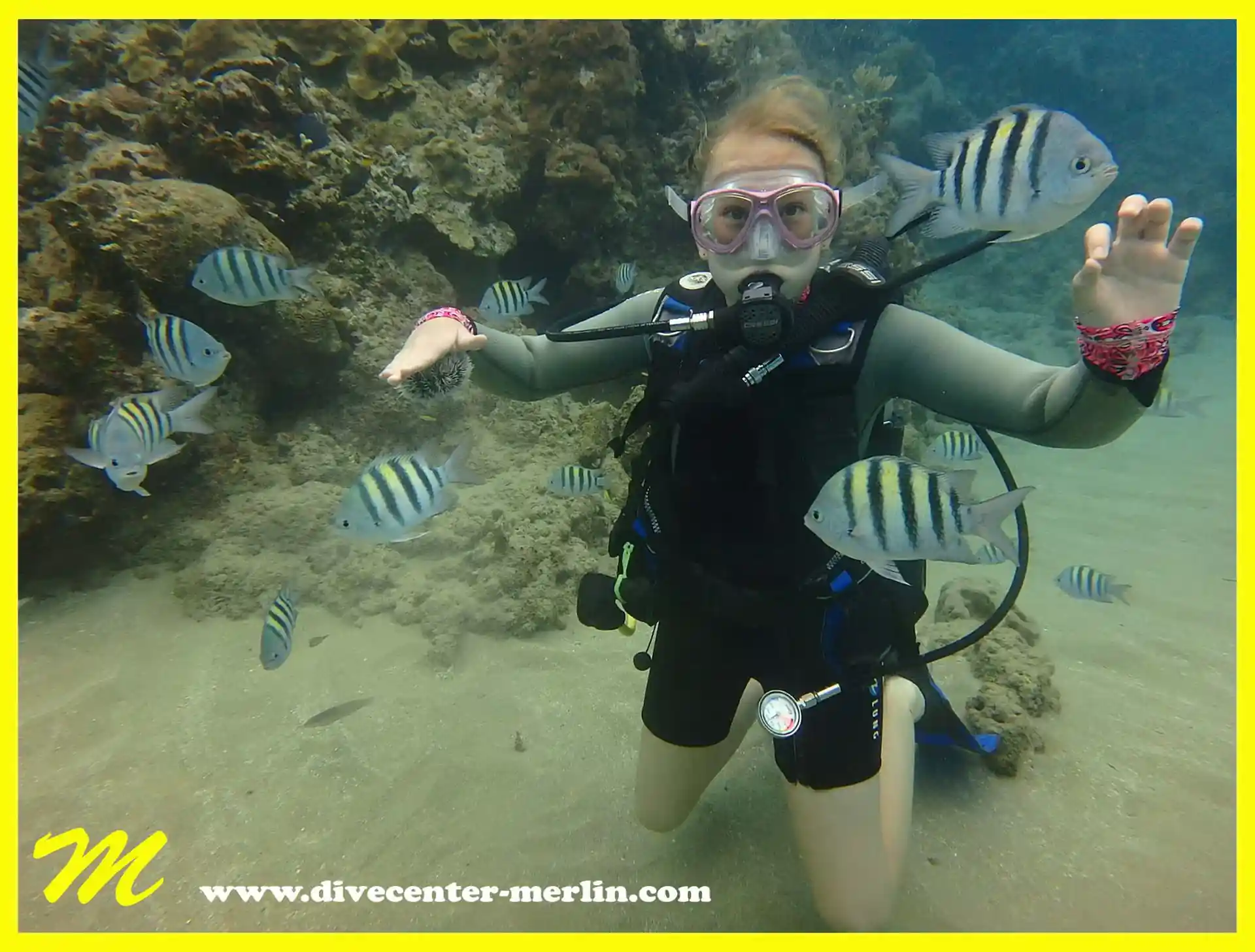 Having fun on the Open Water Dive after completing theory and skill training.