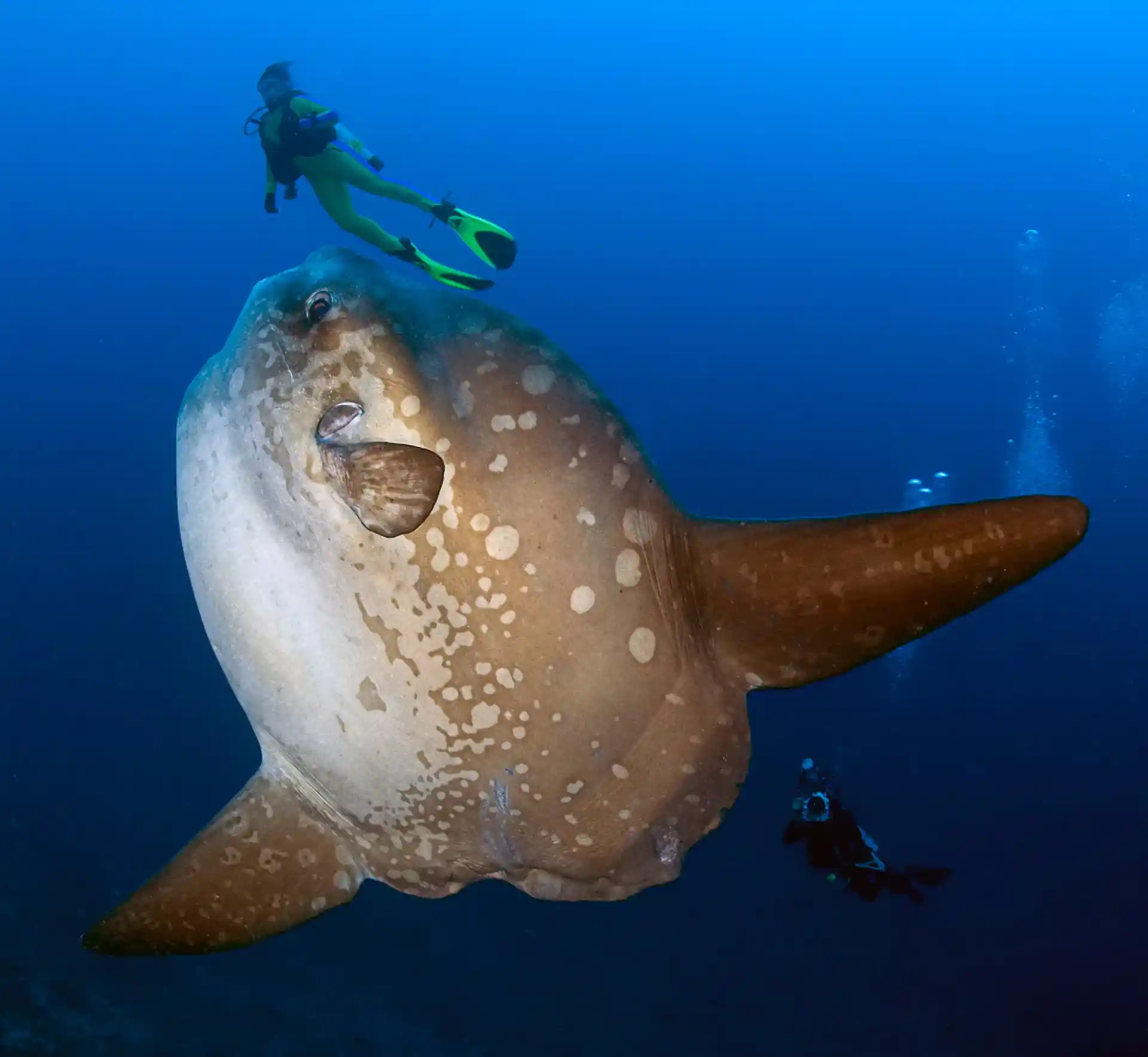 Foto de la actividad