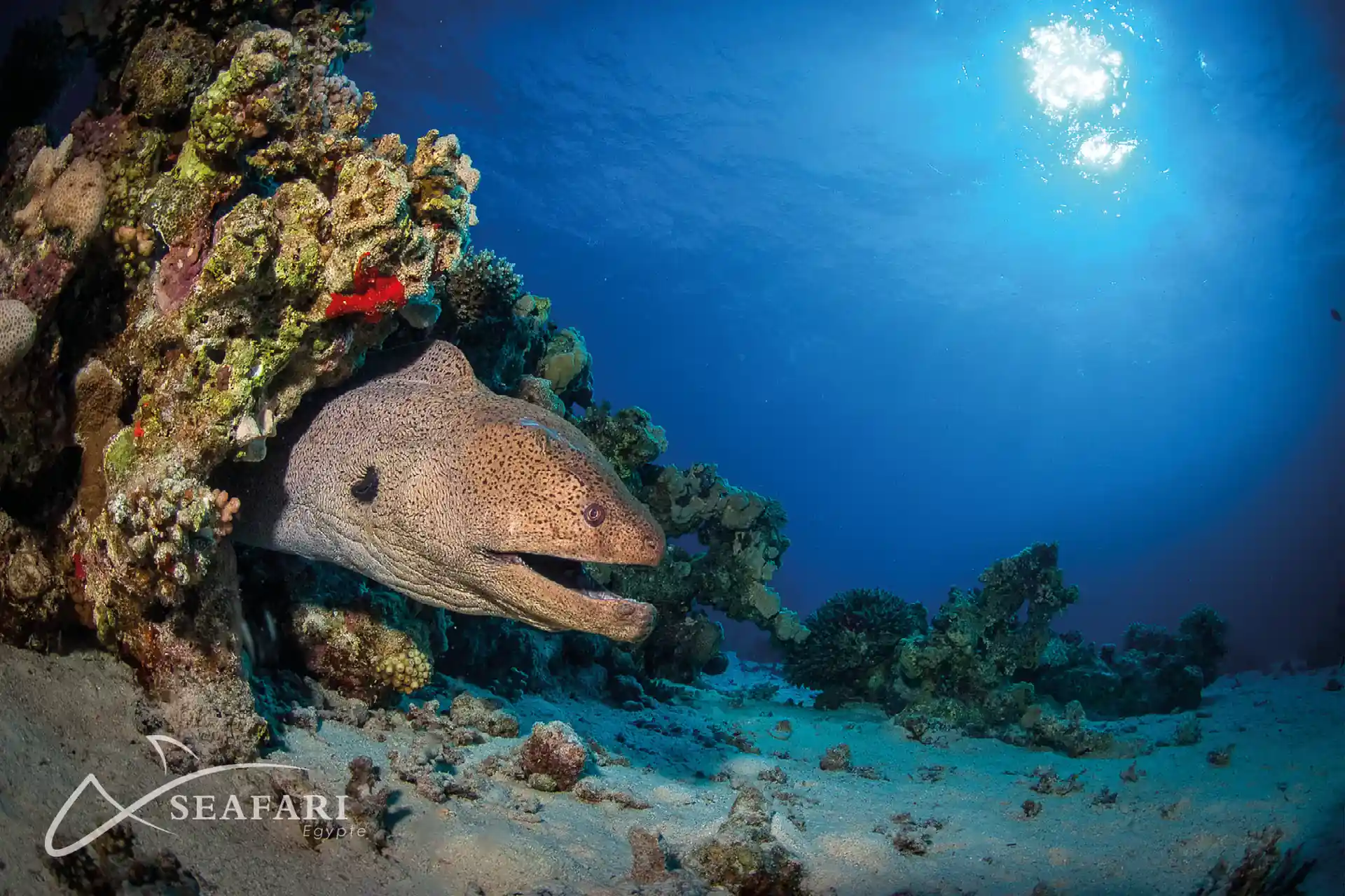 Dive shop photo