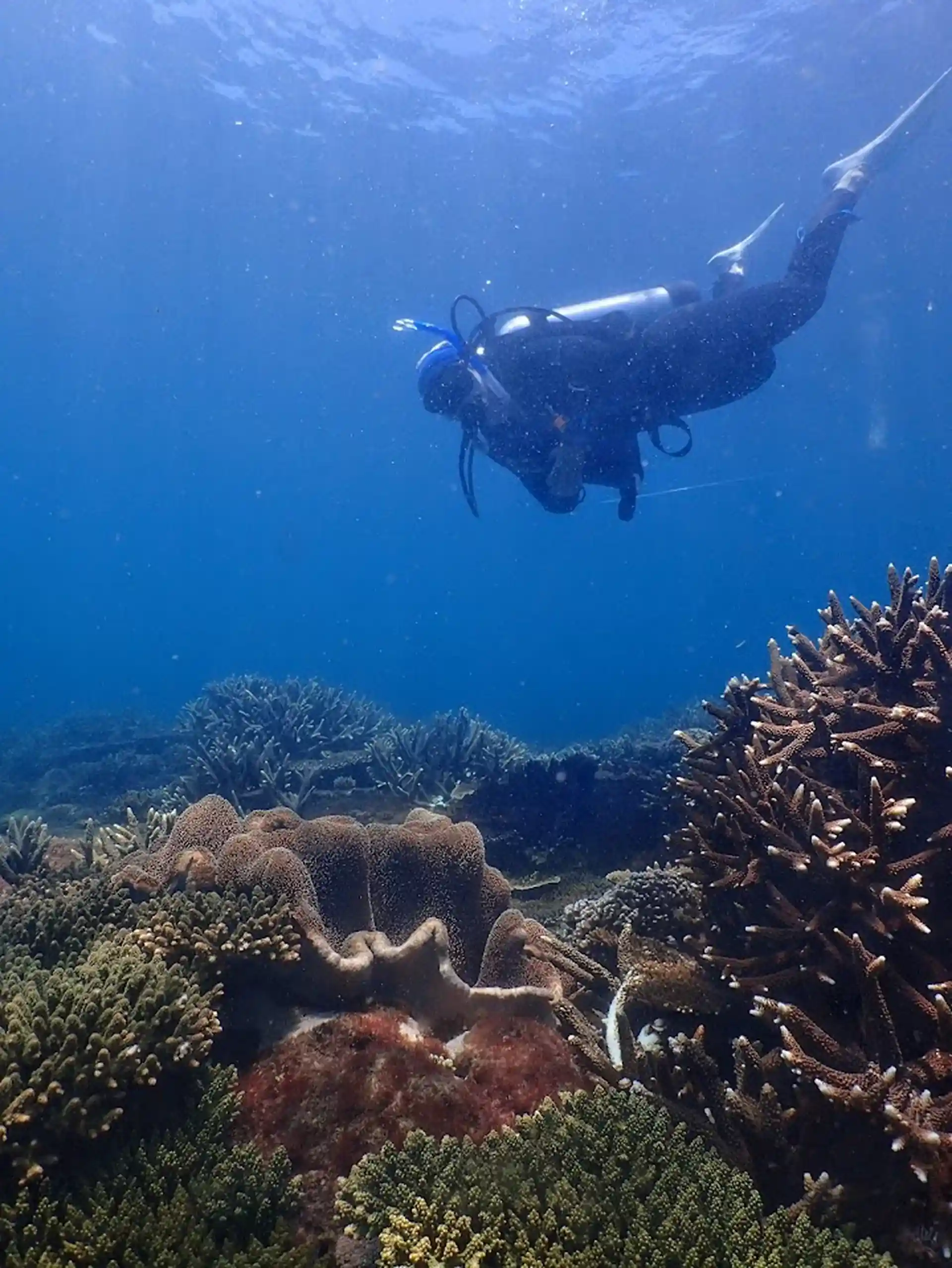 Dive site photo