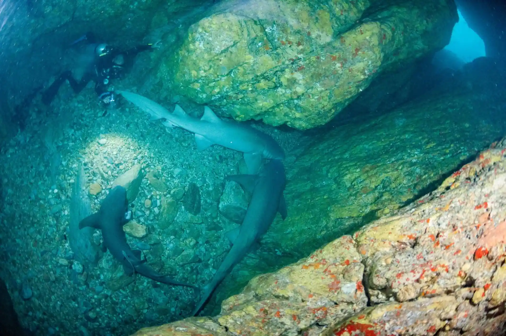 Dive shop photo