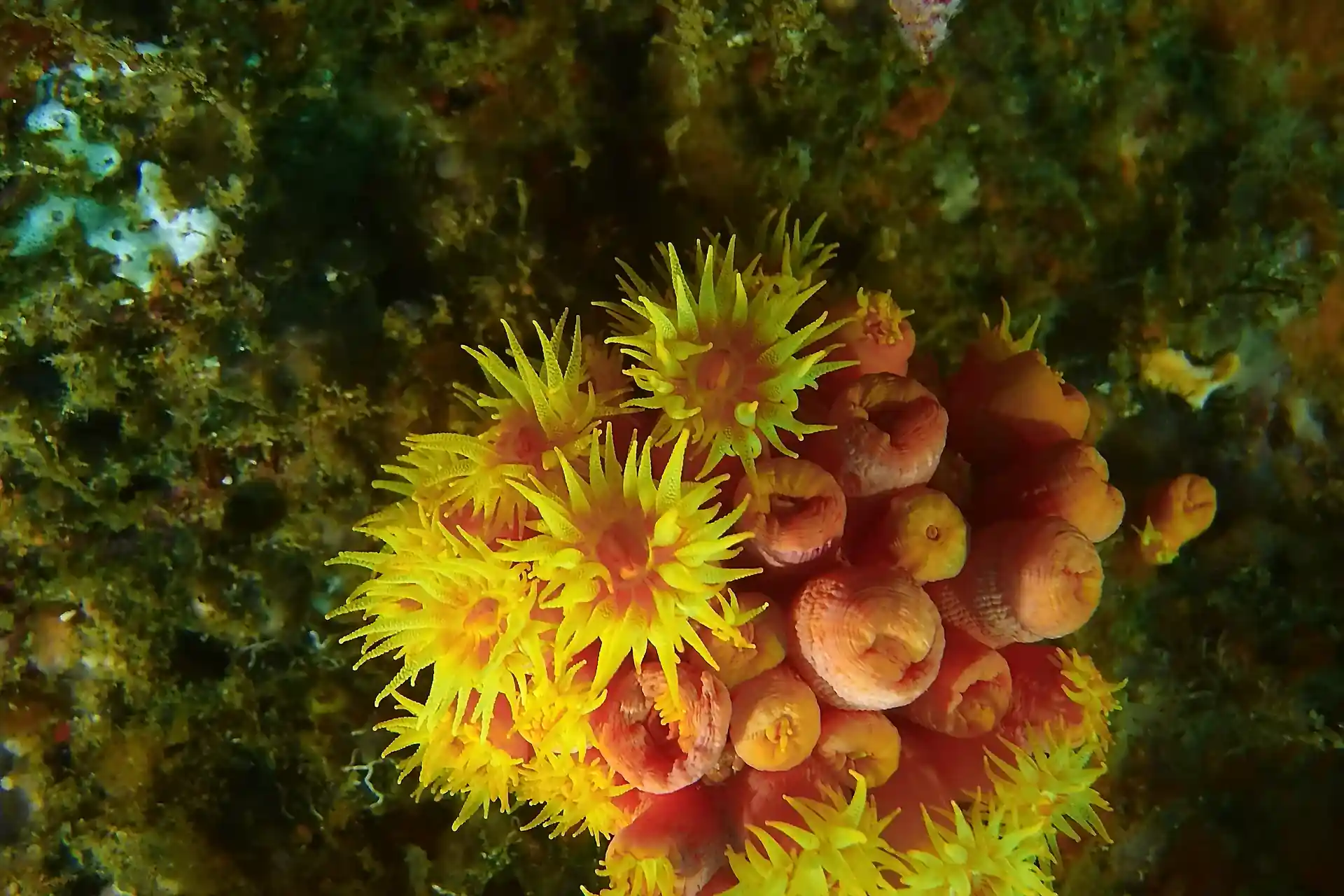 Foto de la actividad