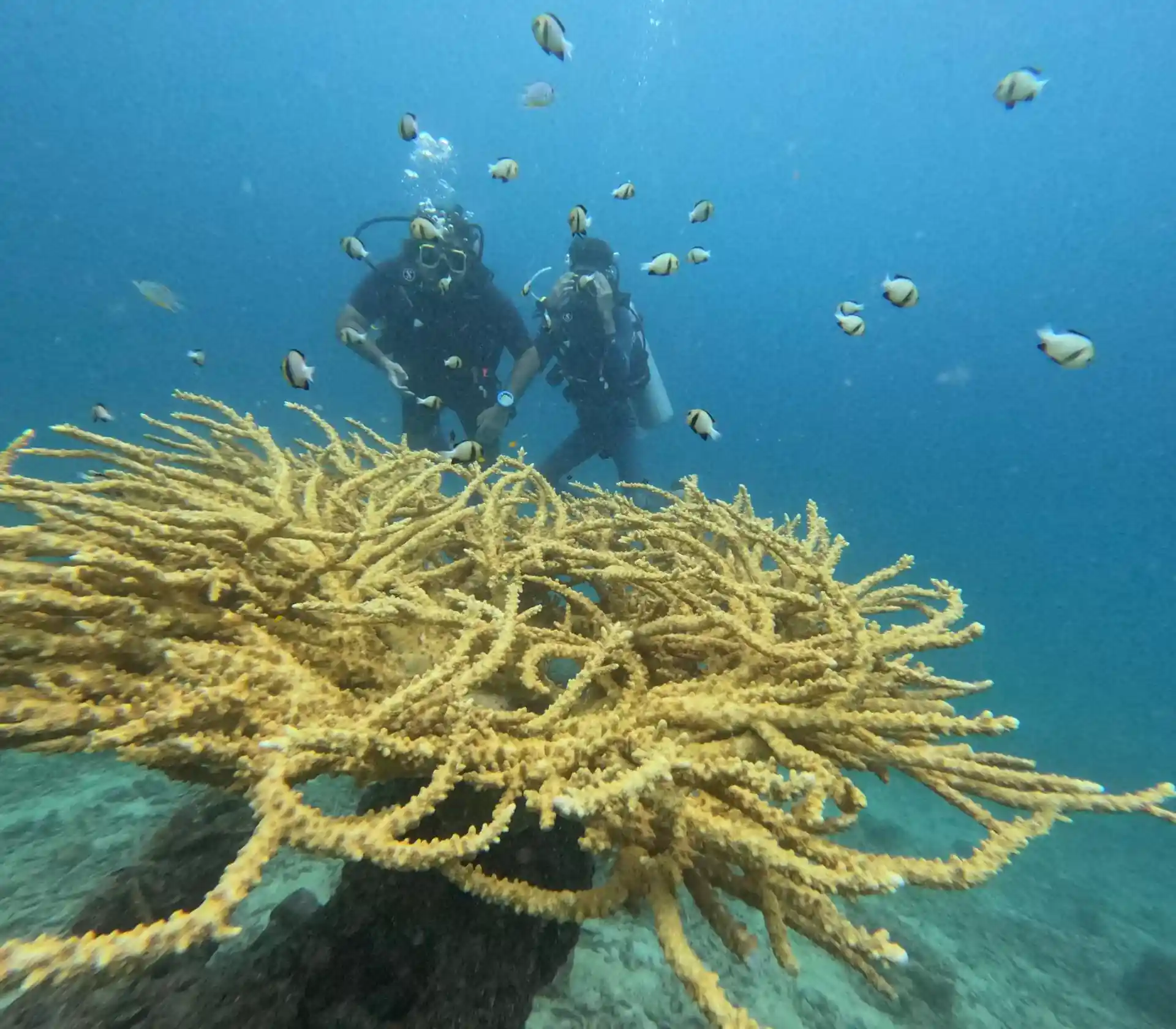Dive site photo