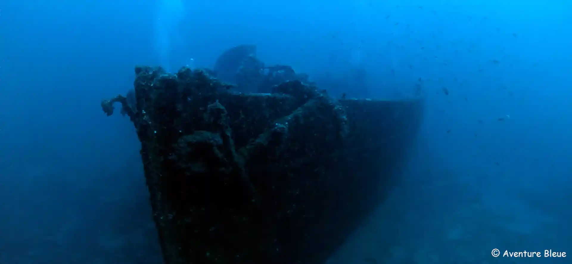 Foto des Tauchplatzes