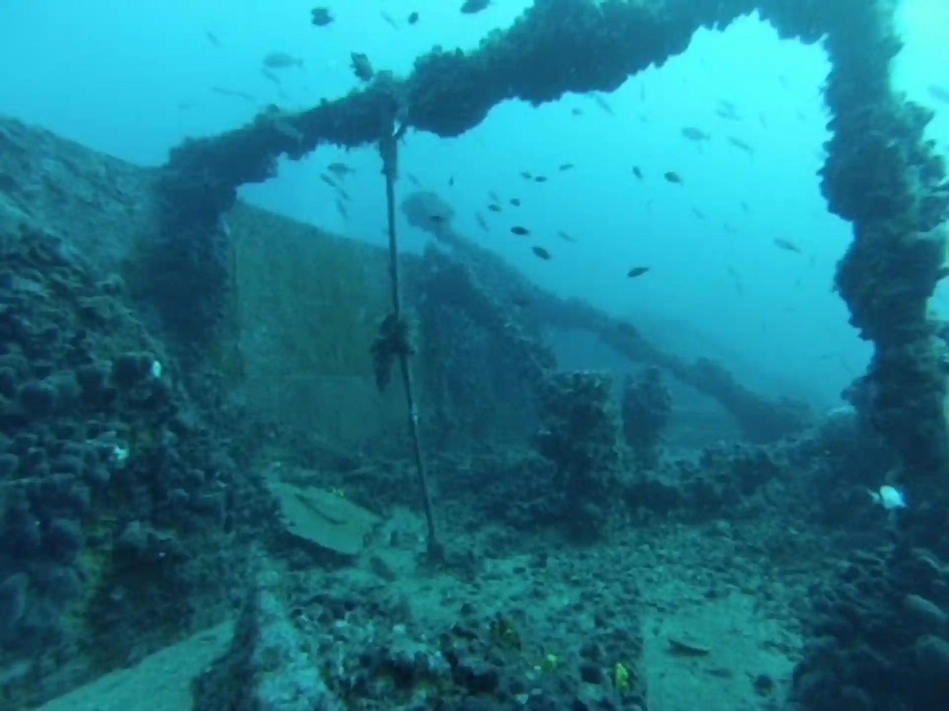 Dive site photo