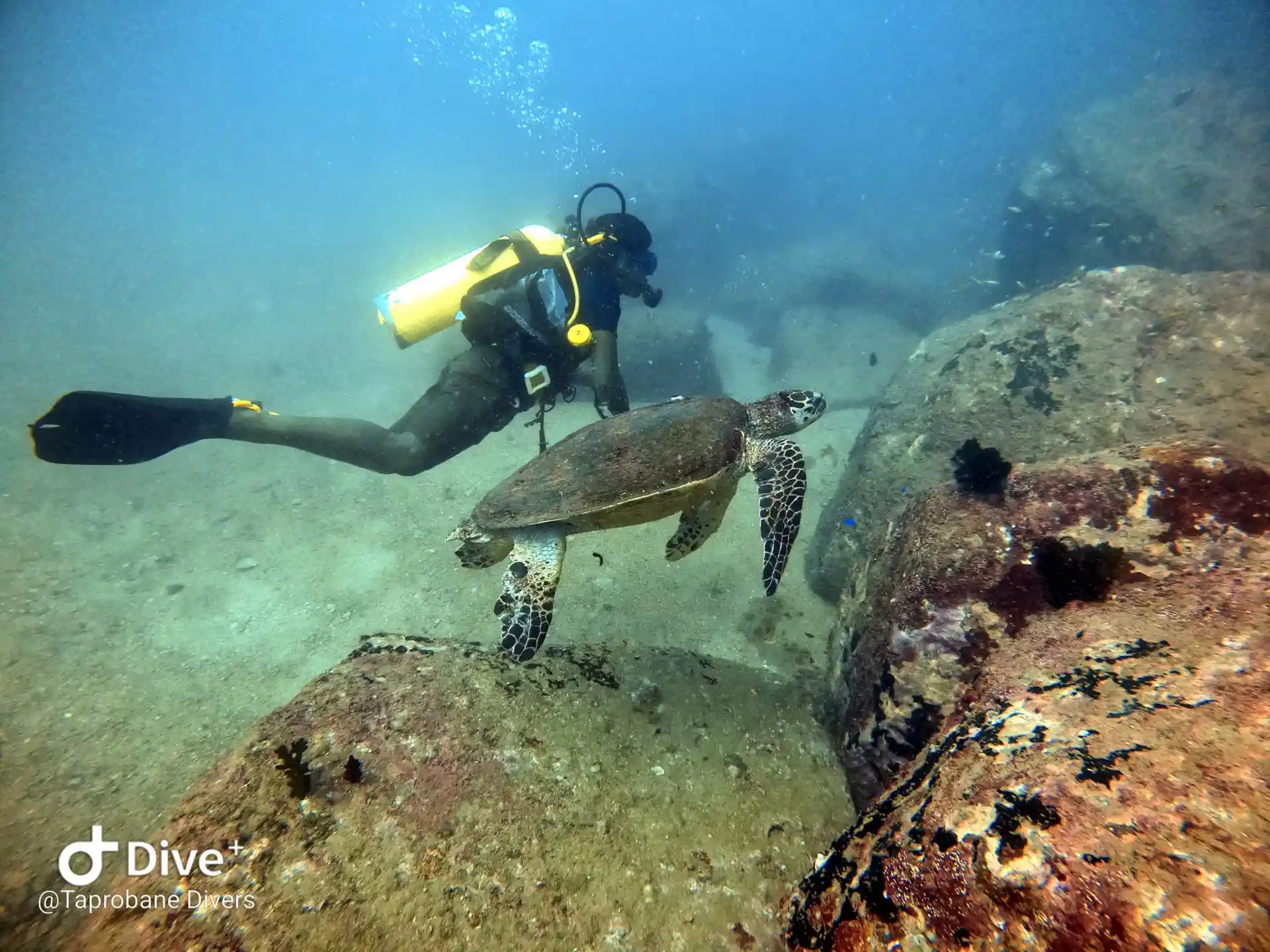 Dive site photo